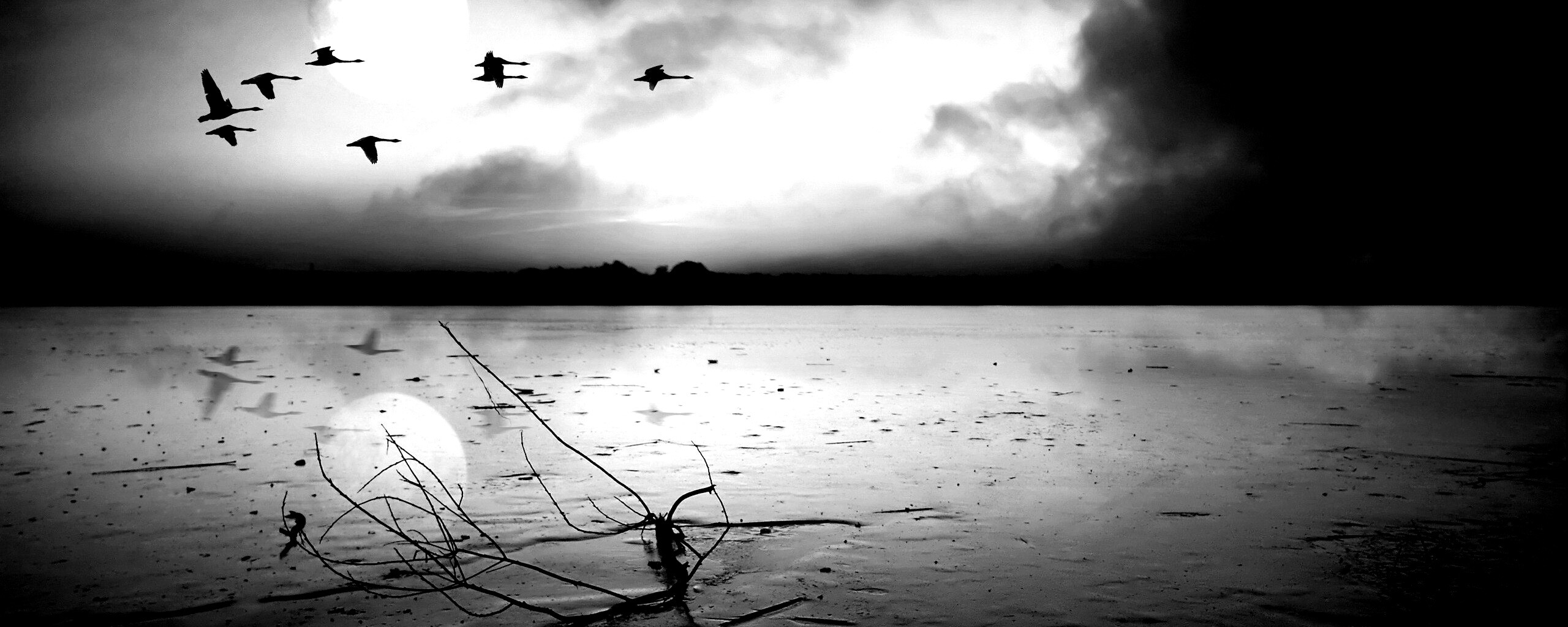 Полет птиц над озером обои