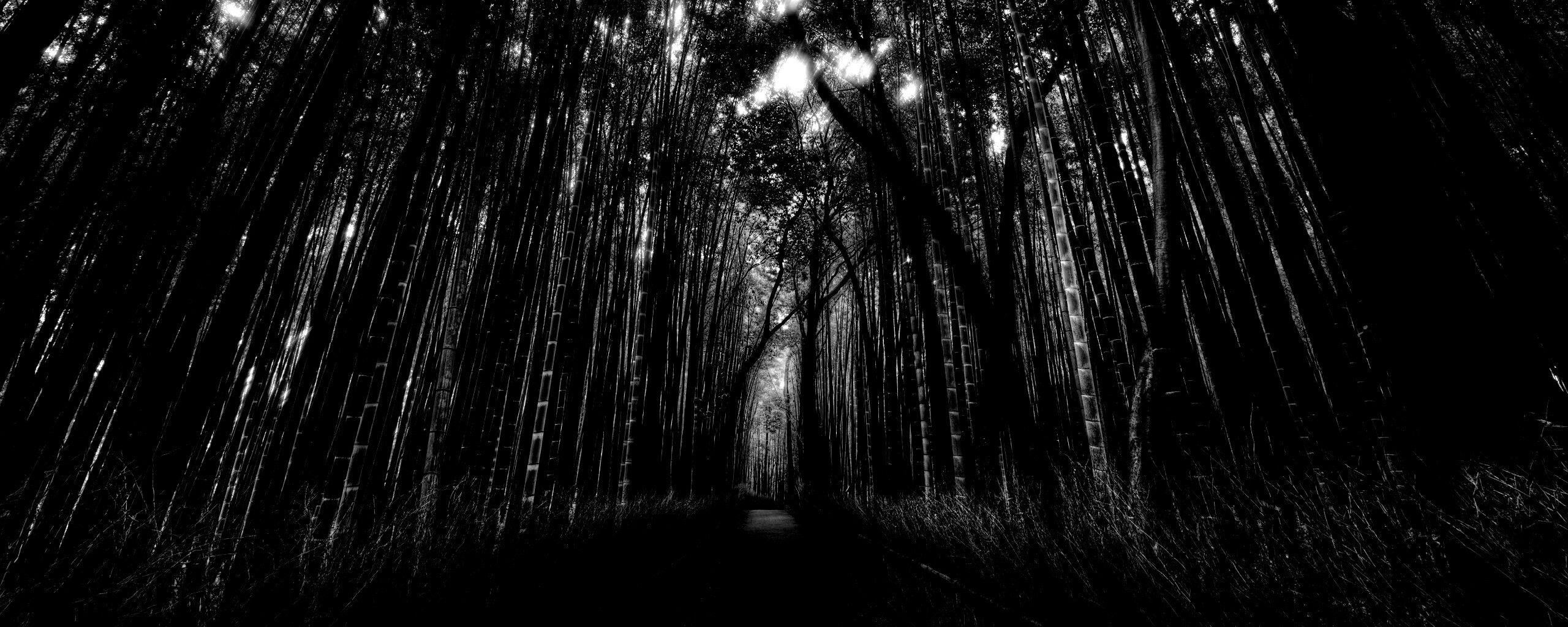 Дорога в тростниковых зарослях обои