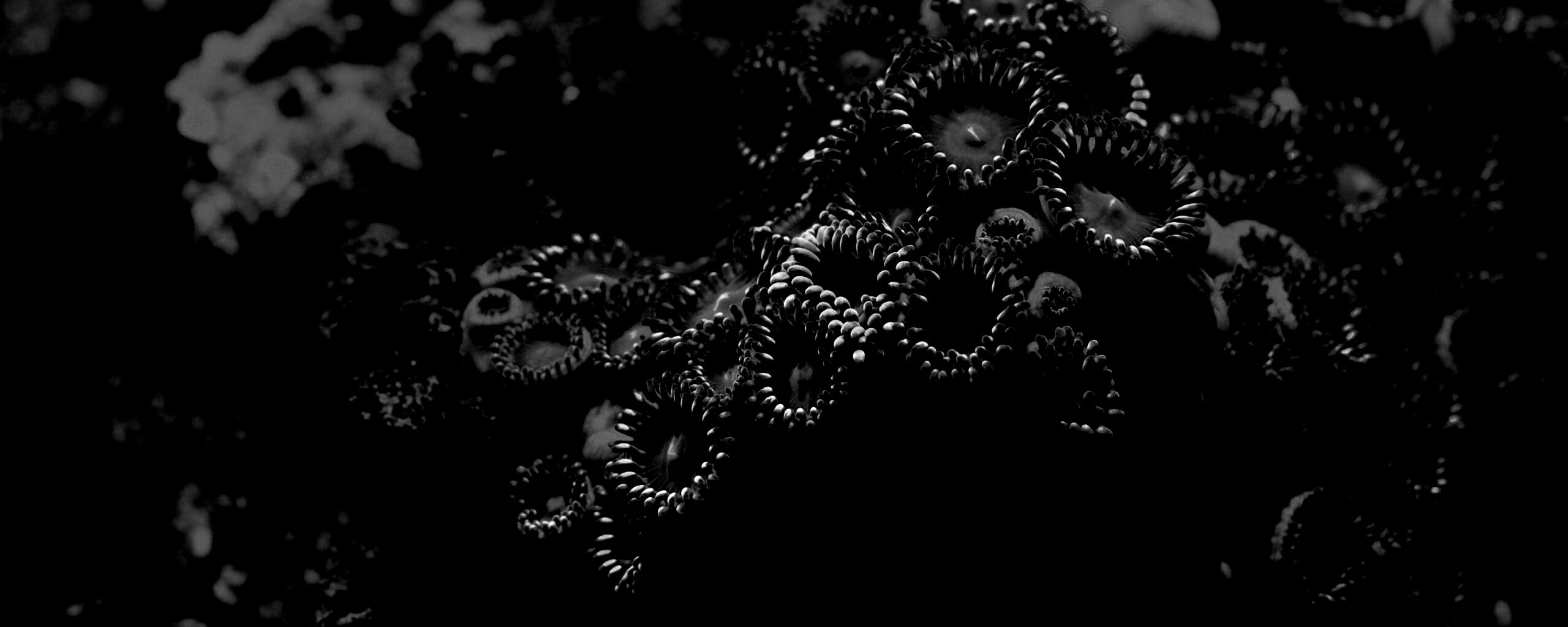 Морское дно обои