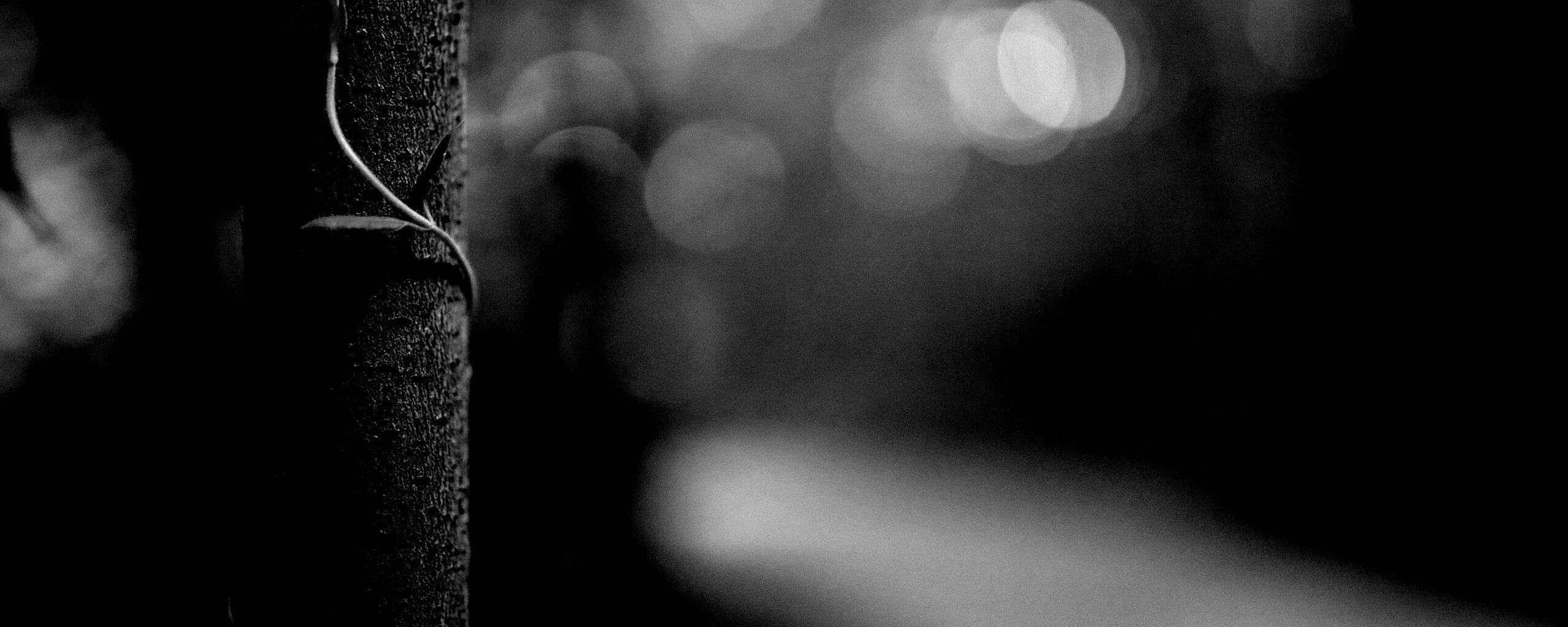 Стебелек на стволе деревца обои