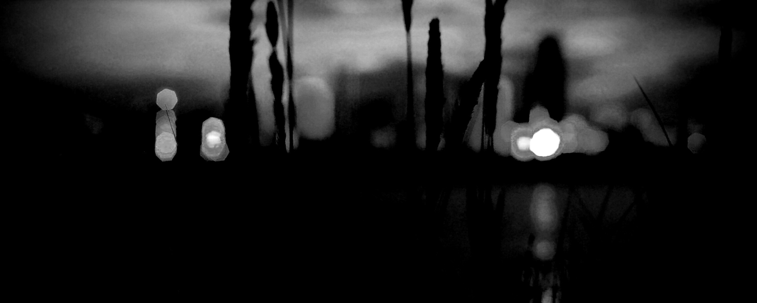 Камыш на фоне вечерних огней обои