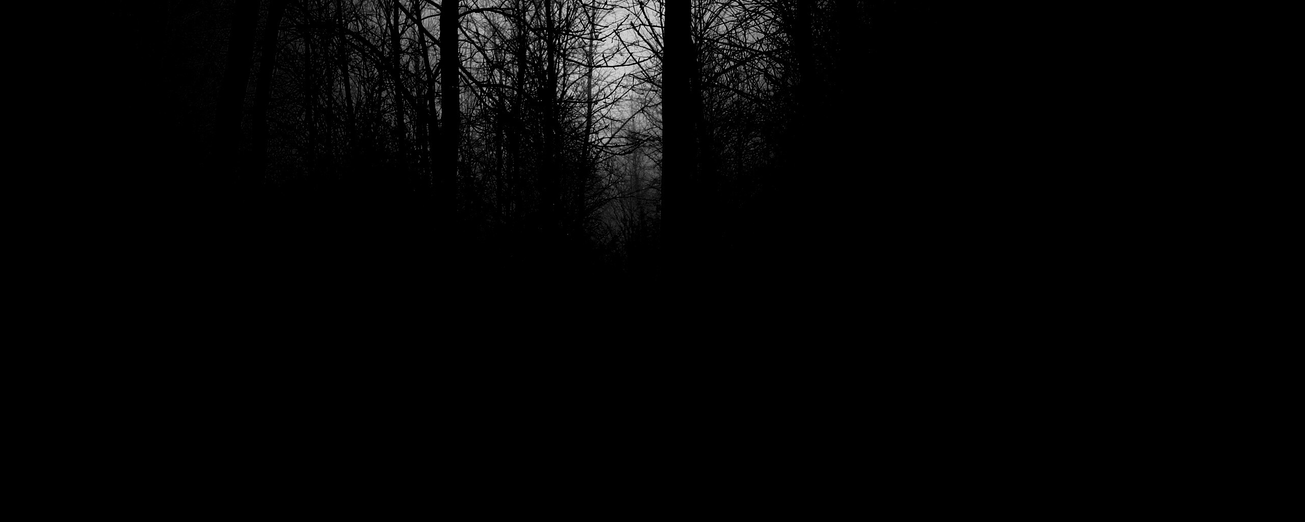 Страшный туманный лес обои