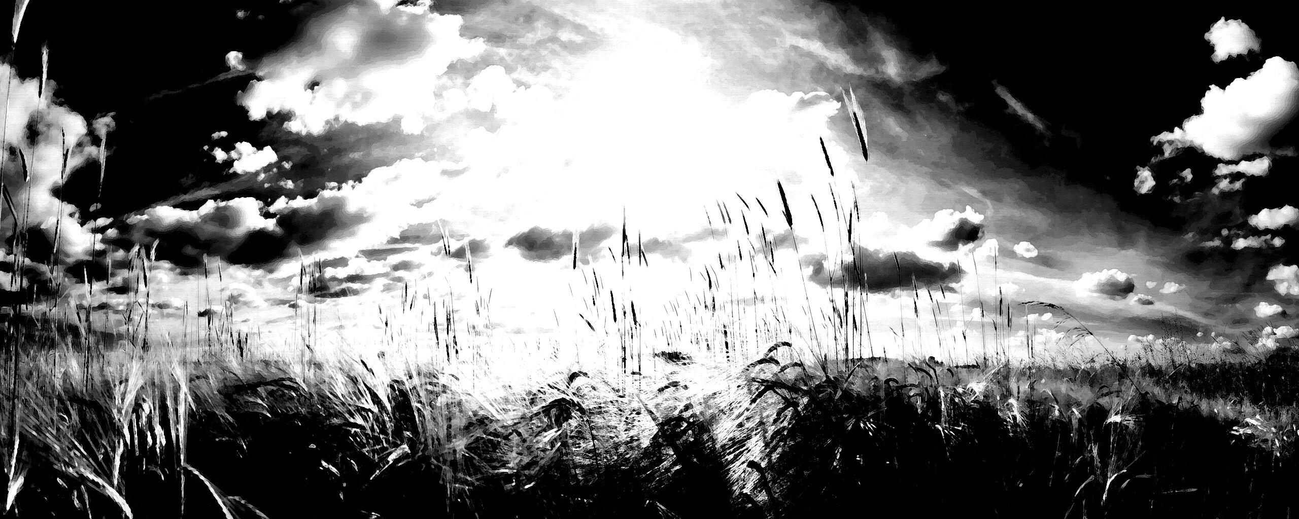 Сюрреалистичная трава обои