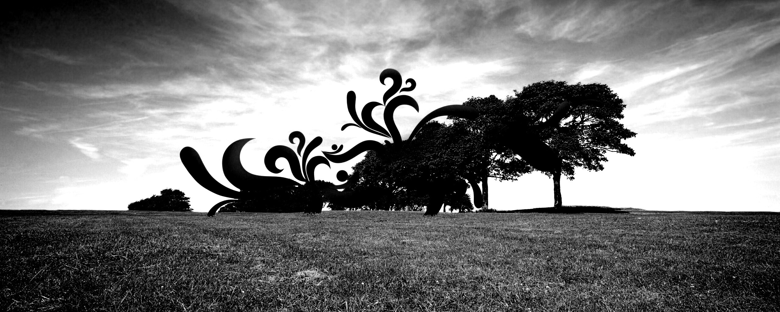 На равнине обои