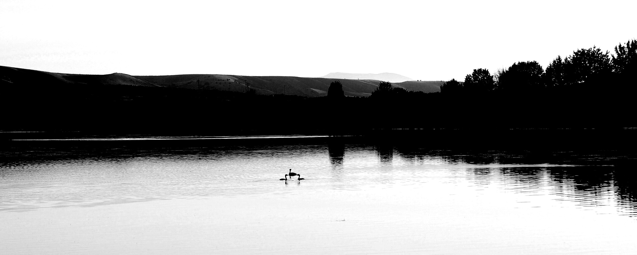 Утиное озеро обои