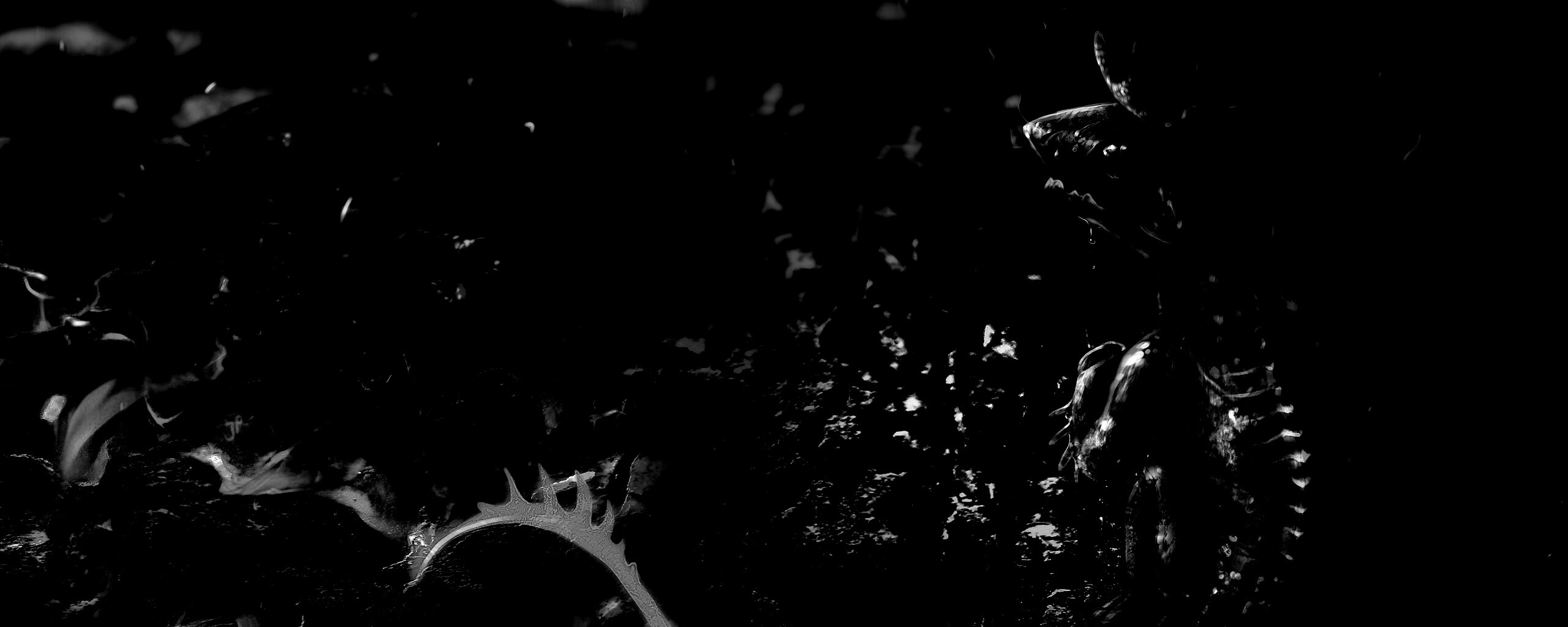 Огненный дракончик обои