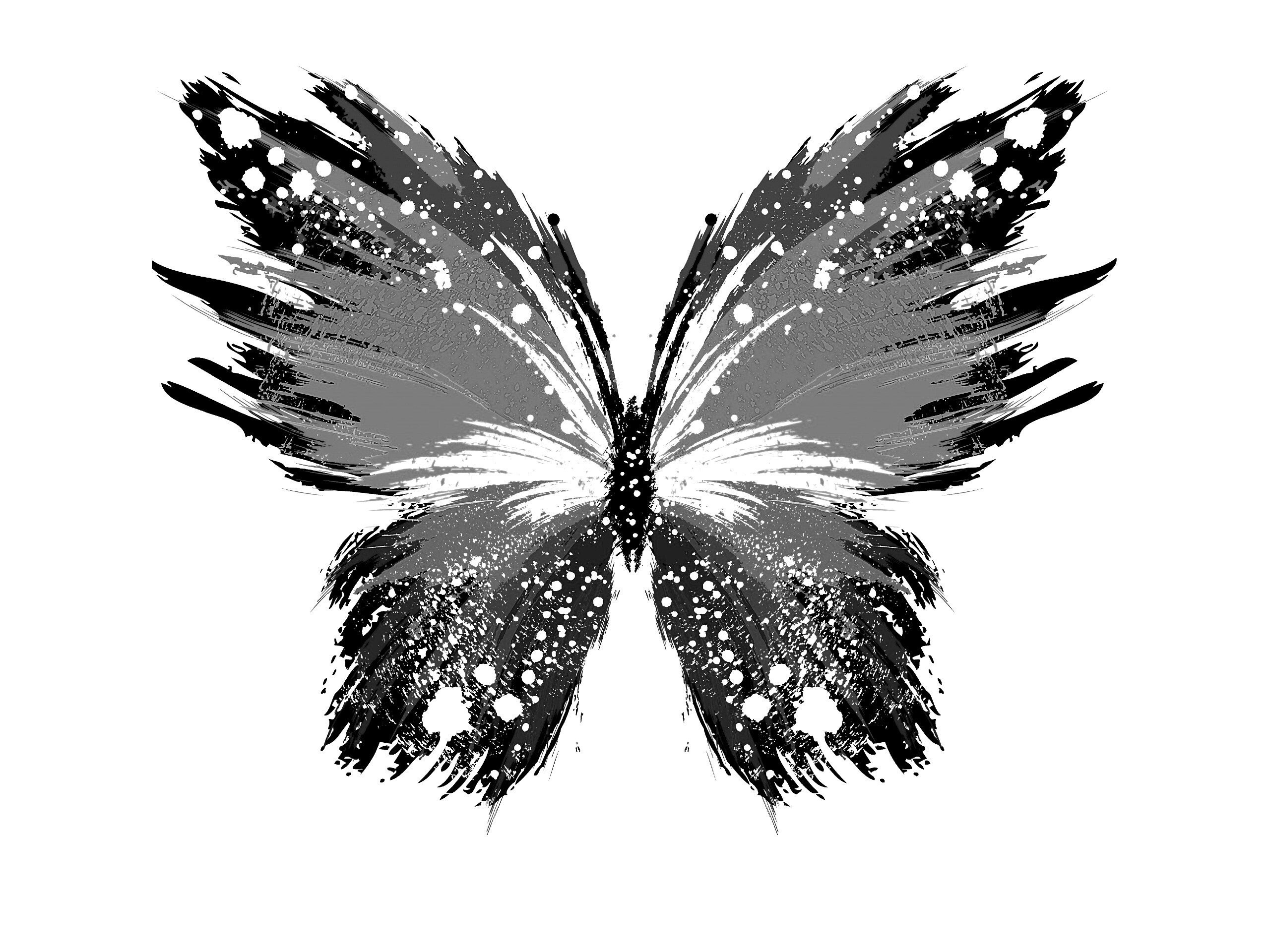 Нарисованная бабочка обои