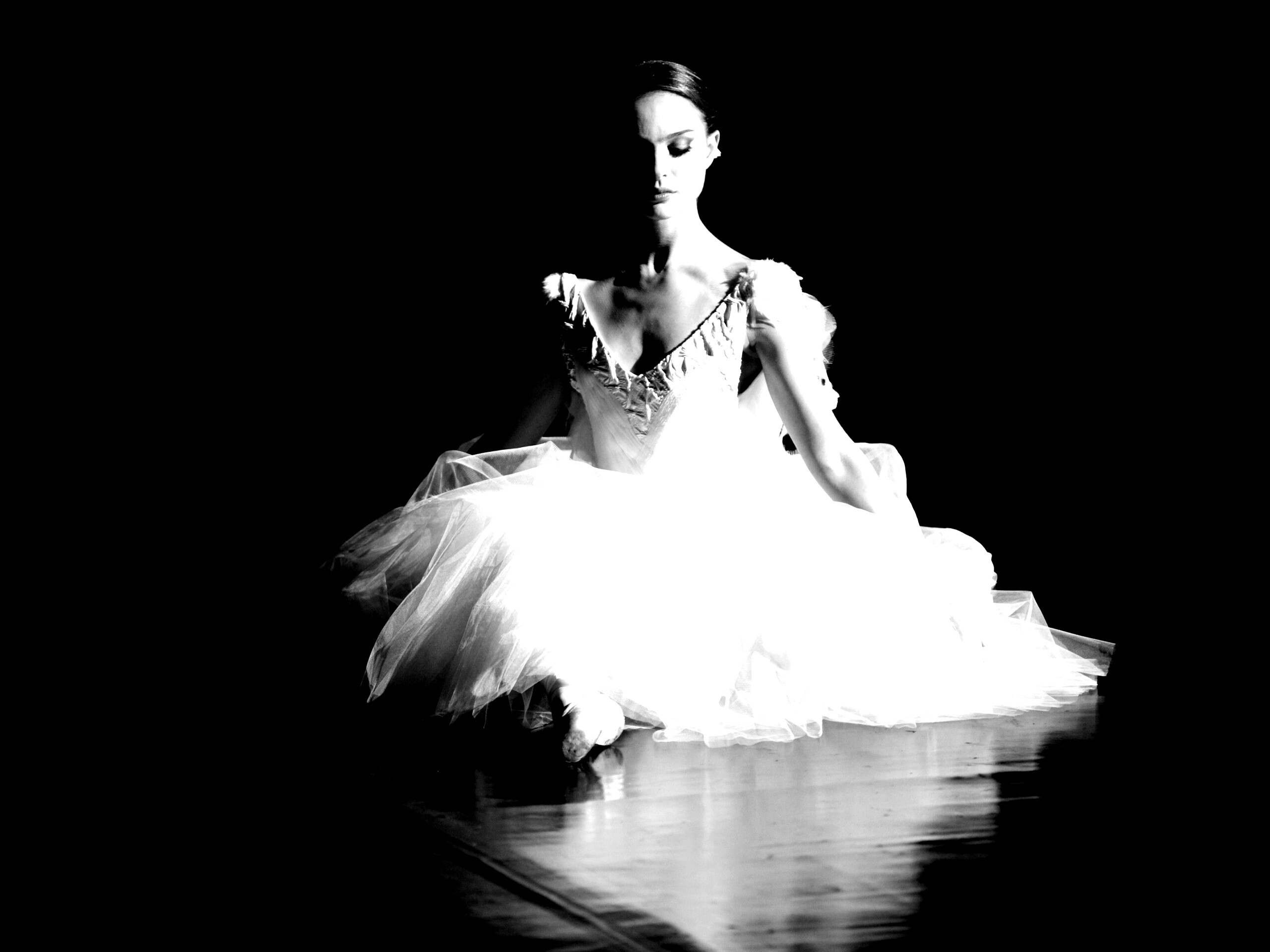 Черный лебедь обои