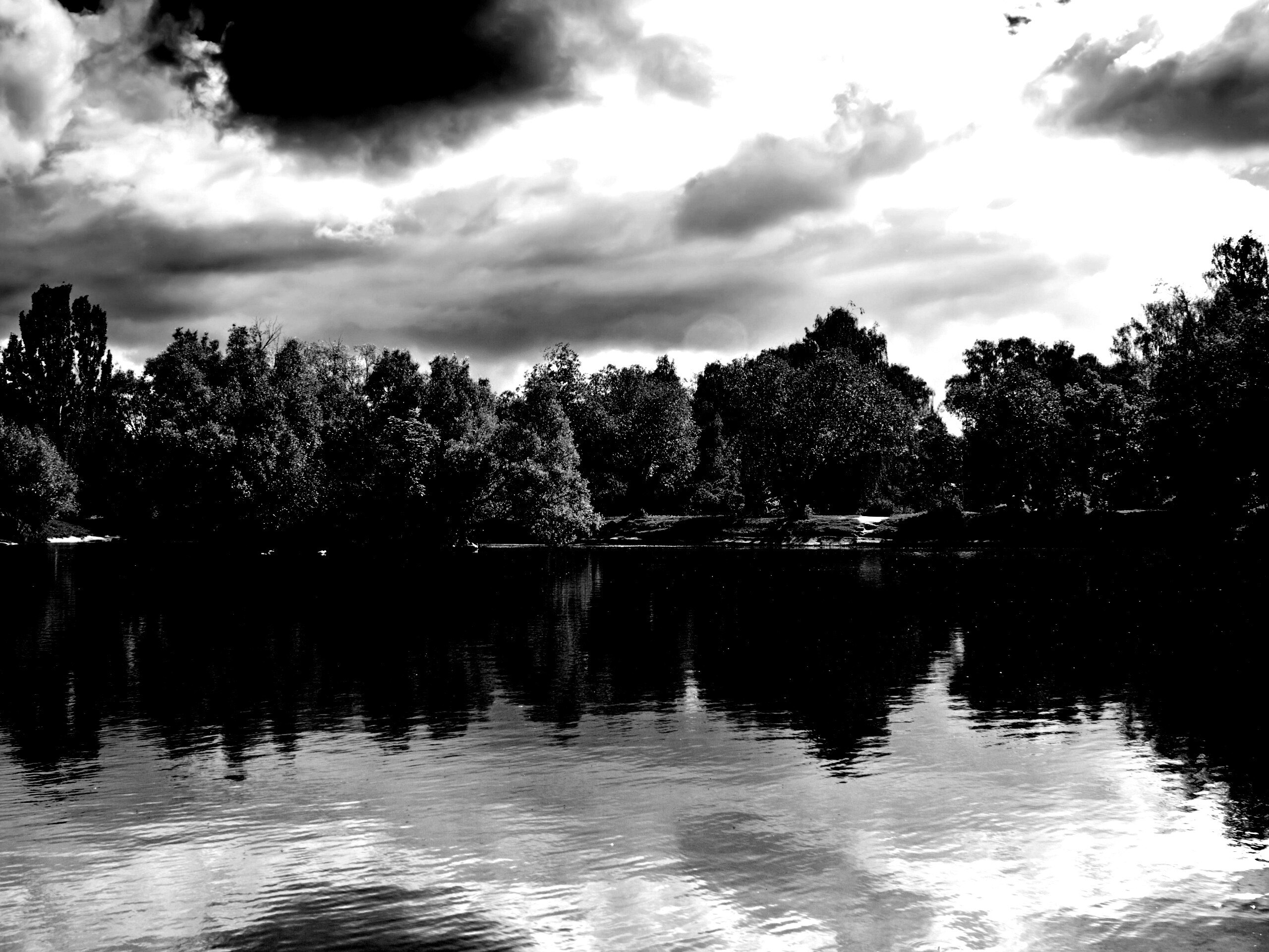 Деревья на берегу озера обои