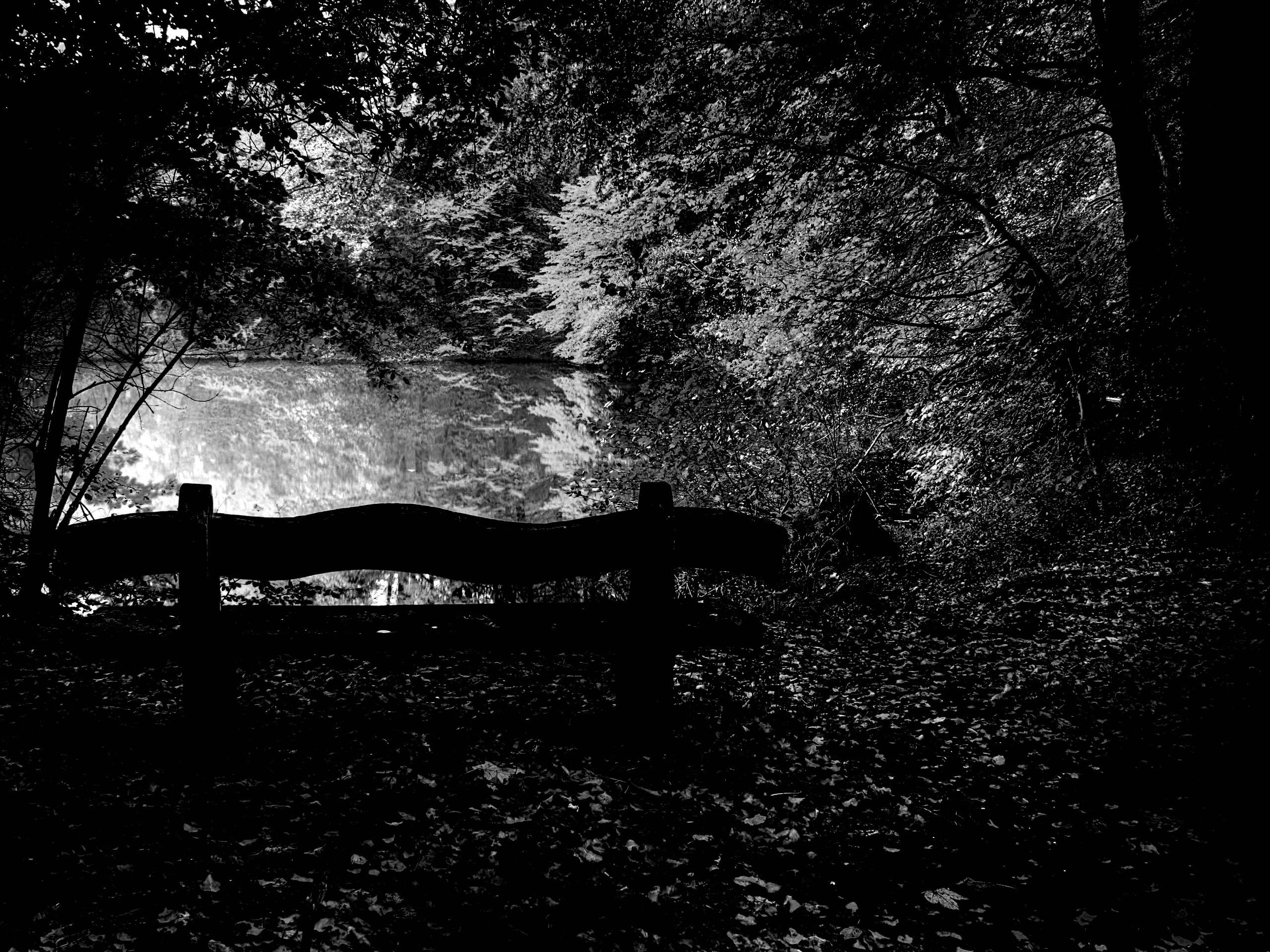 Скамейка в лесу обои