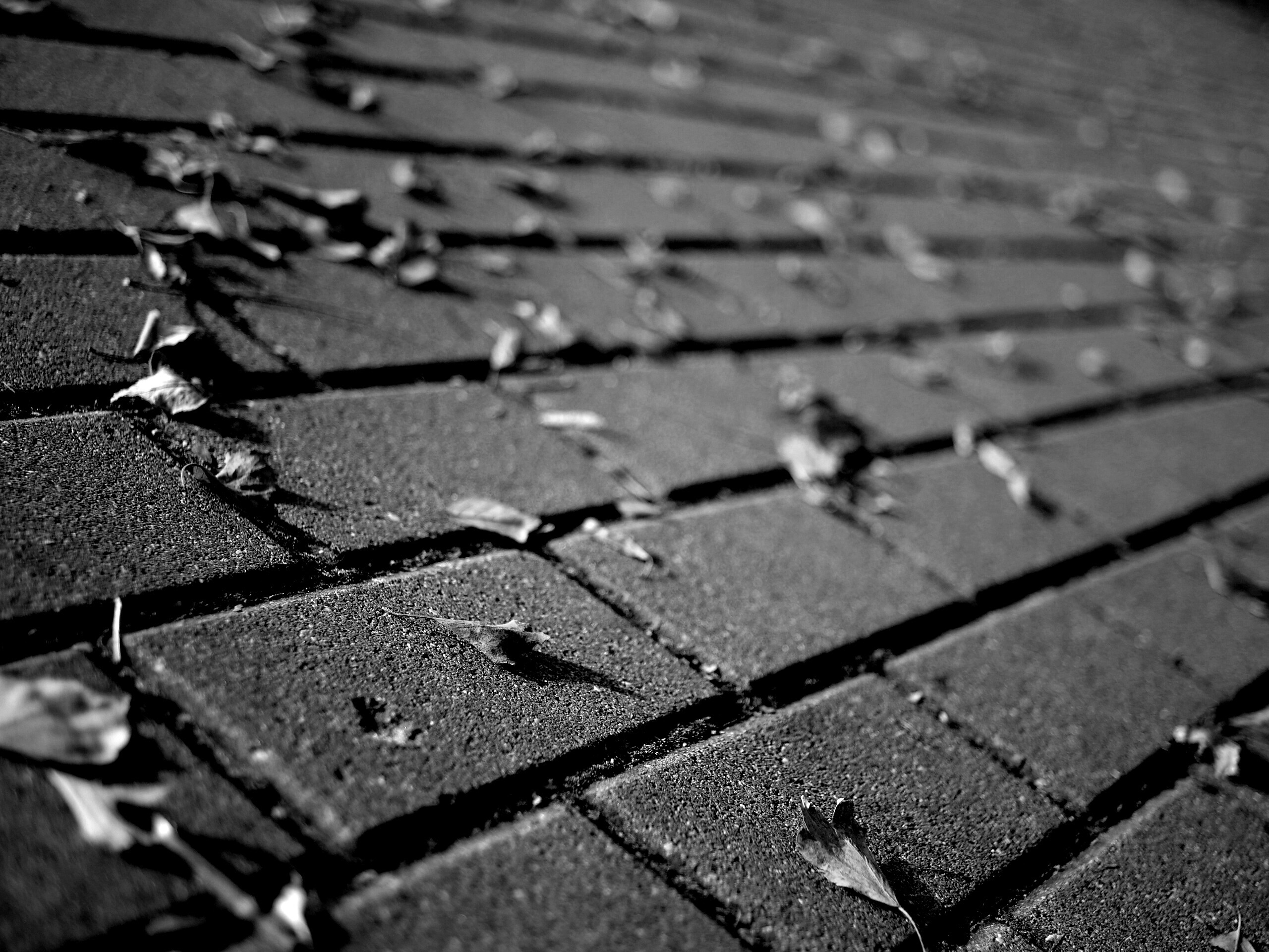 Тротуар обои