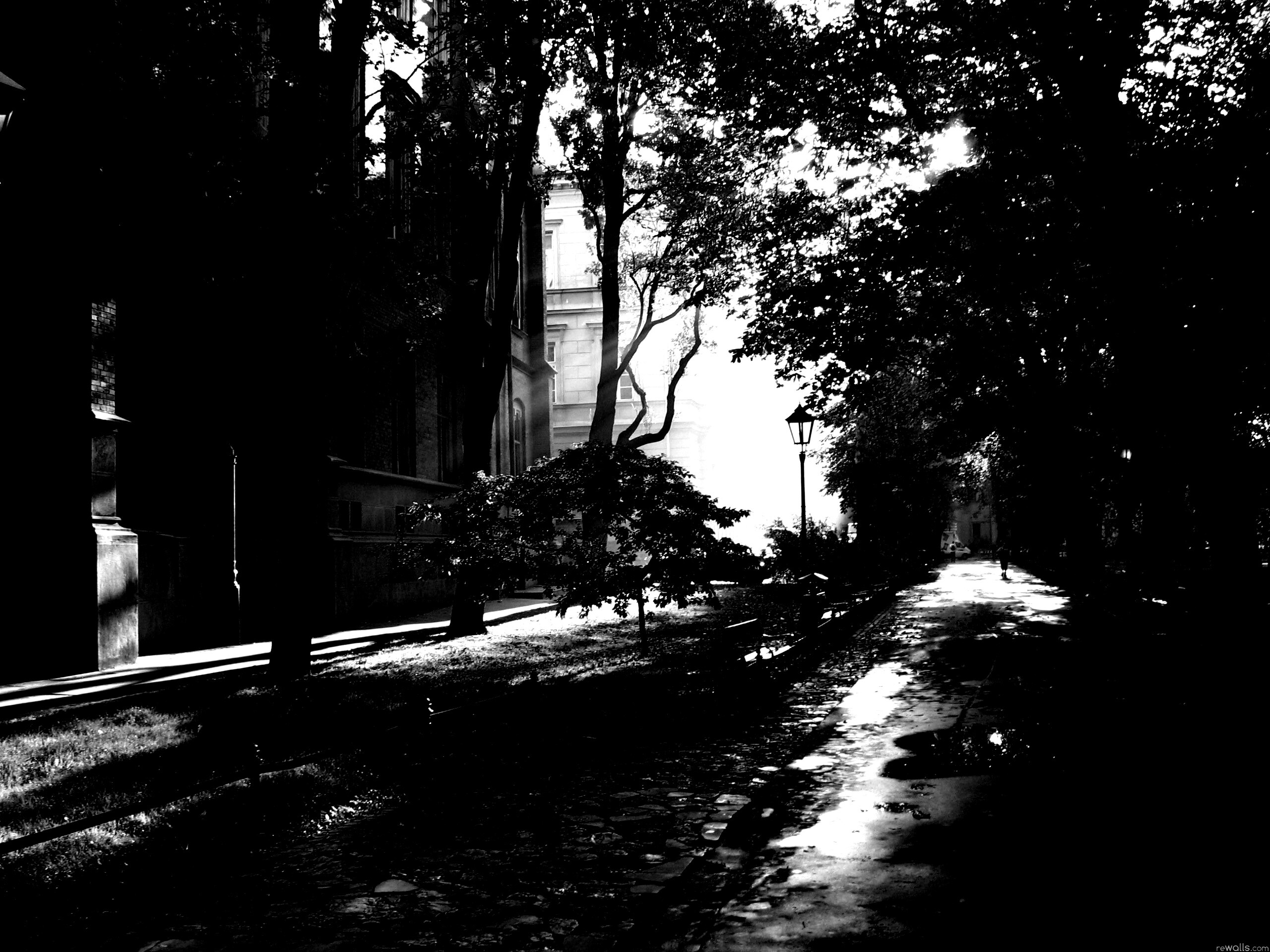 Аллея у здания обои