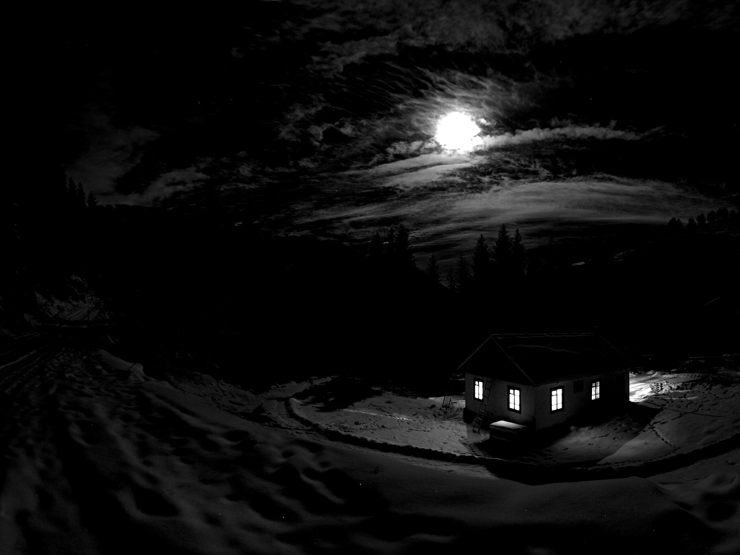 Один в зимнем лесу обои