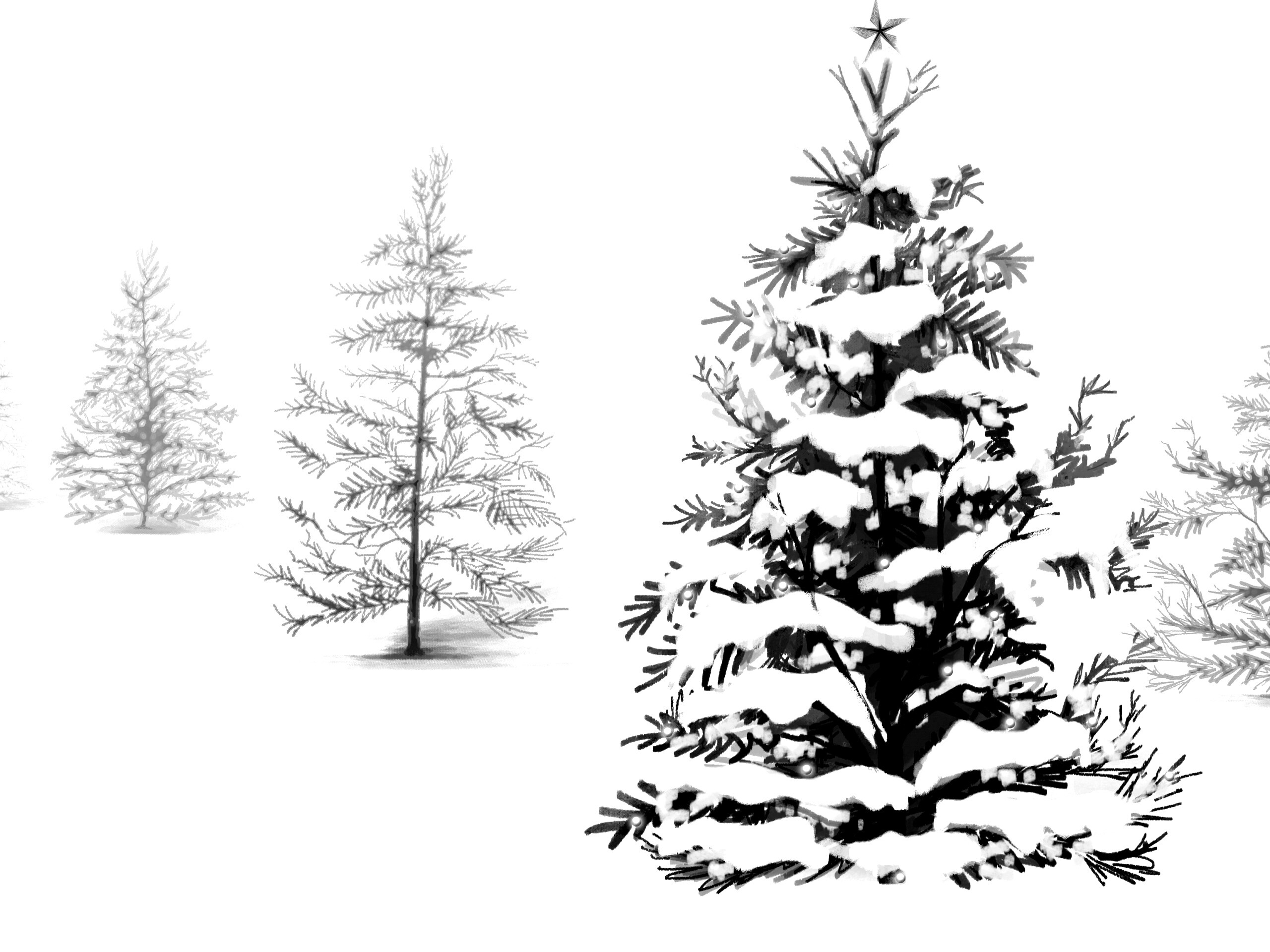 Украшенная ёлочка в лесу обои