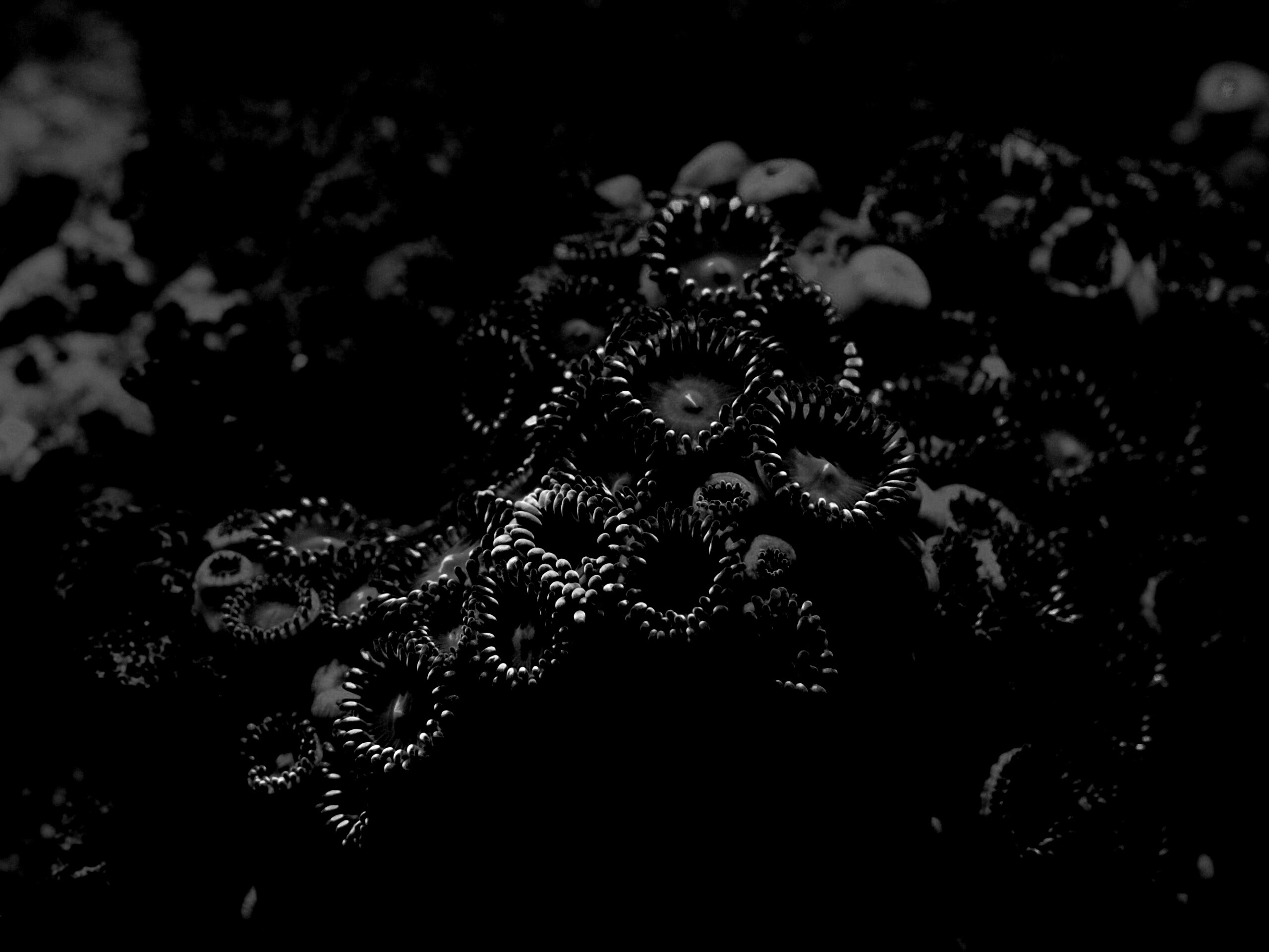 Морское дно обои