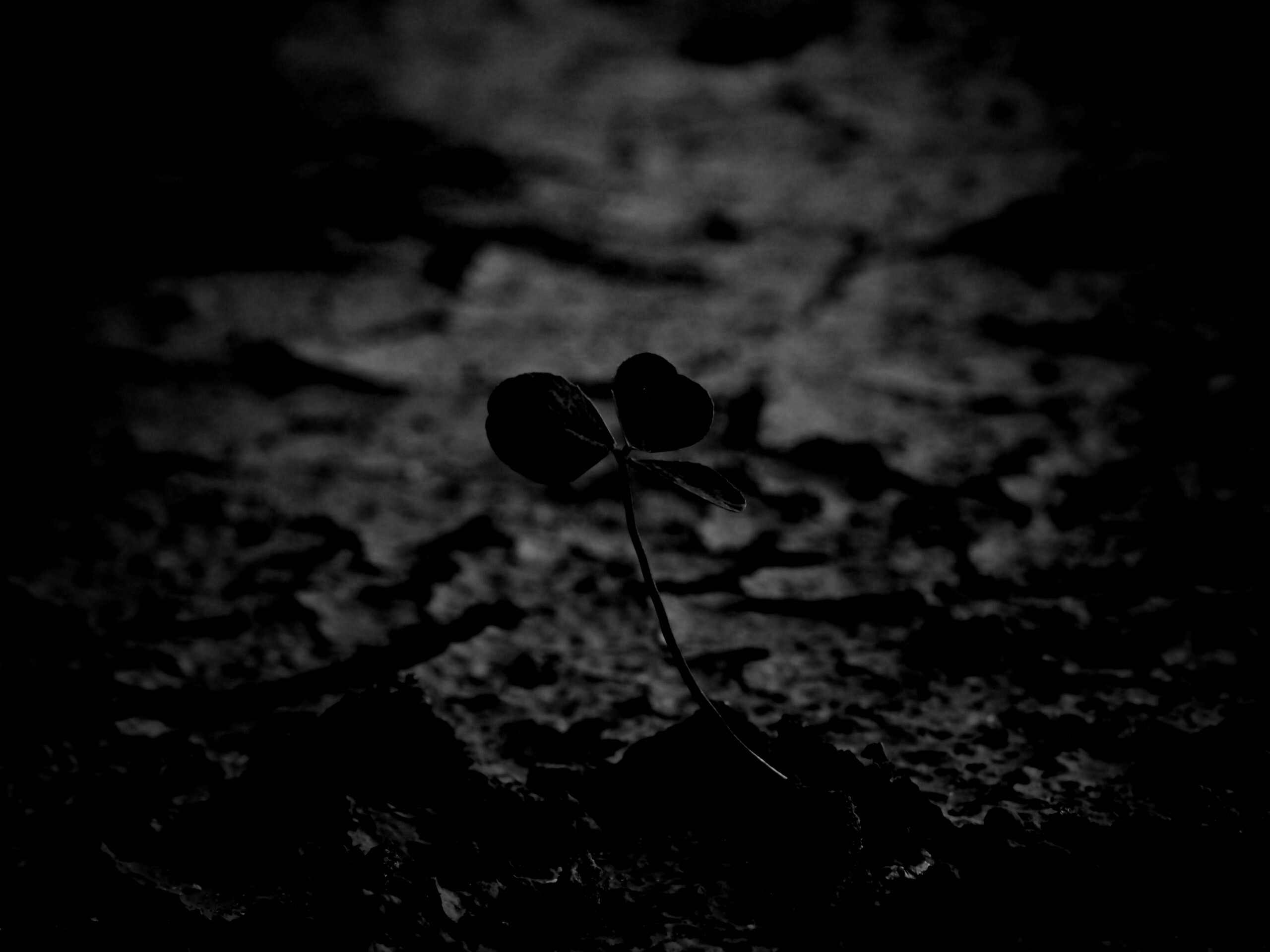 Сила природы обои