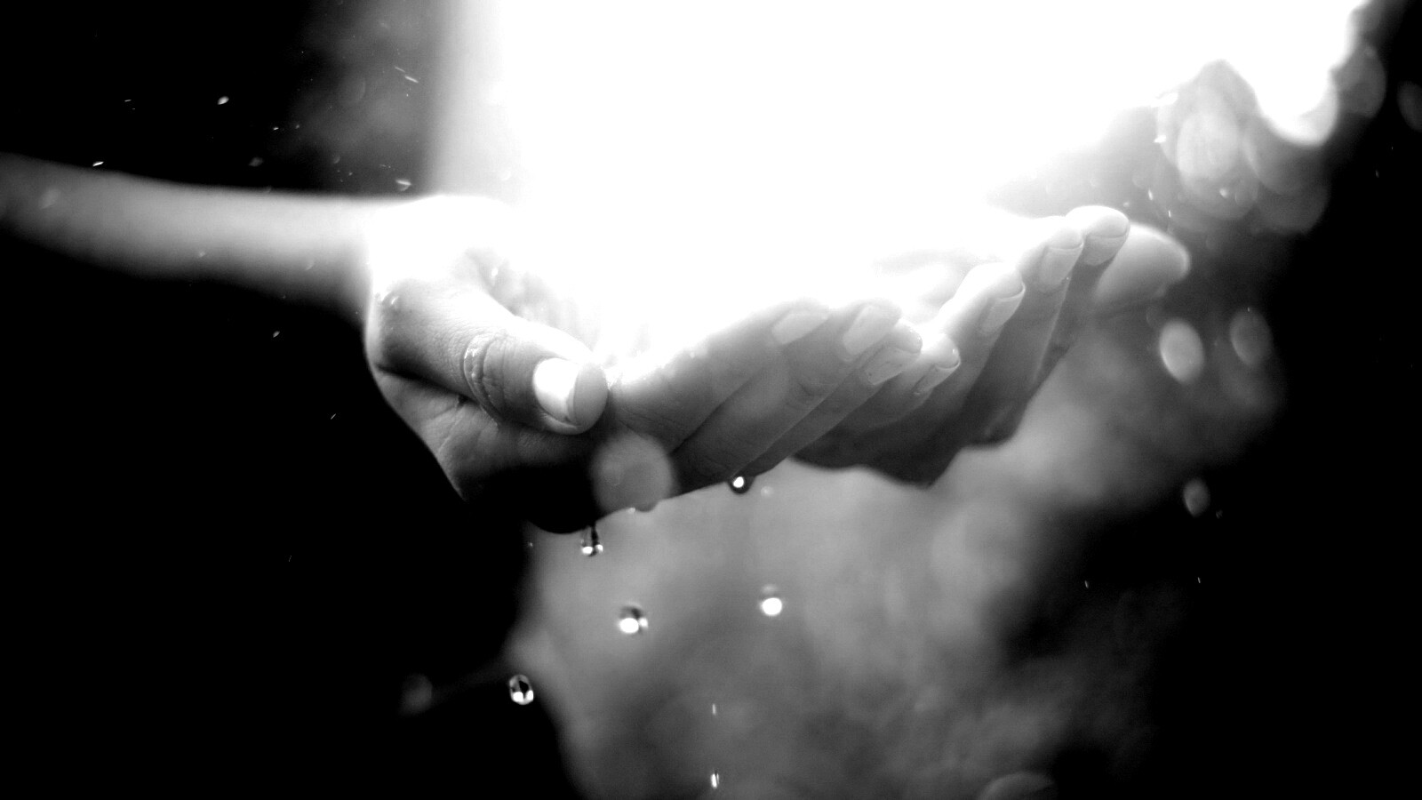 Дождь в ладонях обои