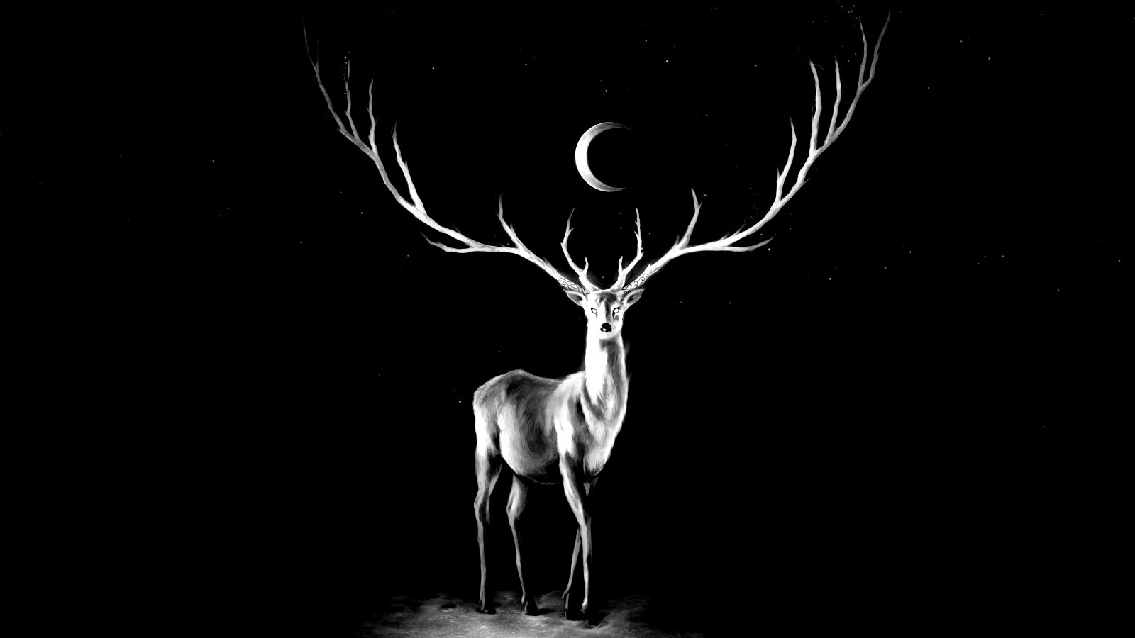 Олень в лунном свете обои