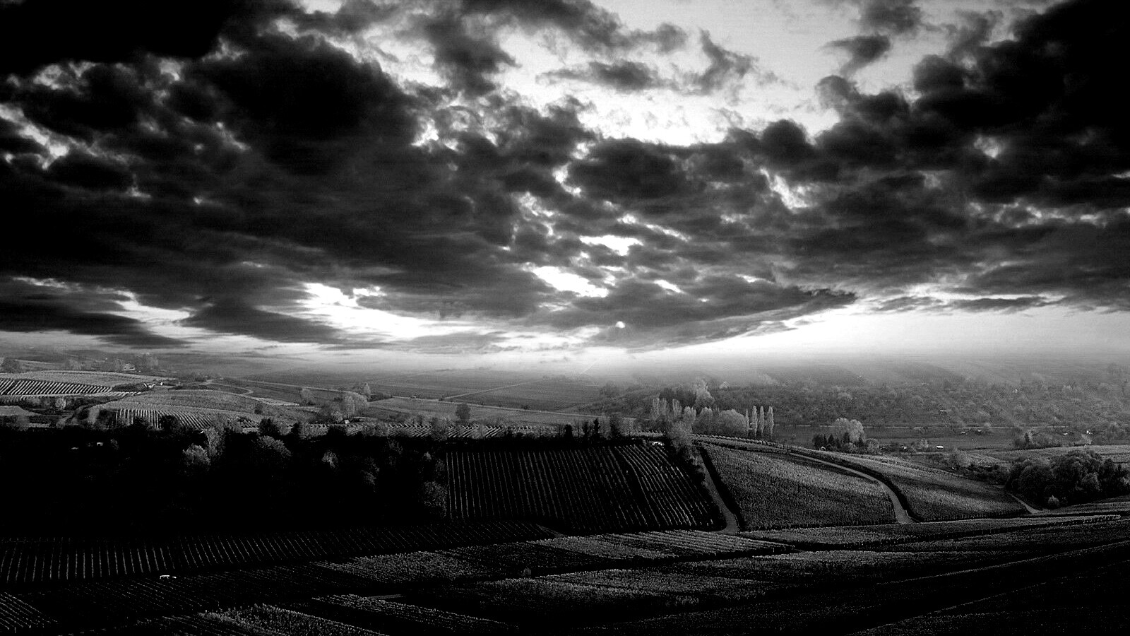 Обработанные земли в пригороде обои