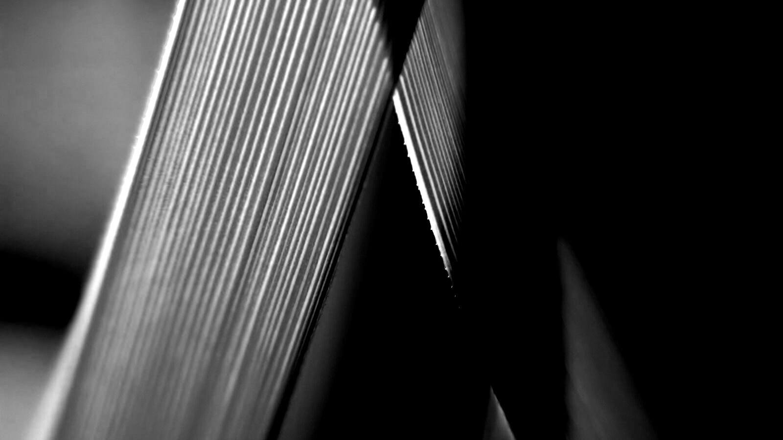 Травинки на свету обои