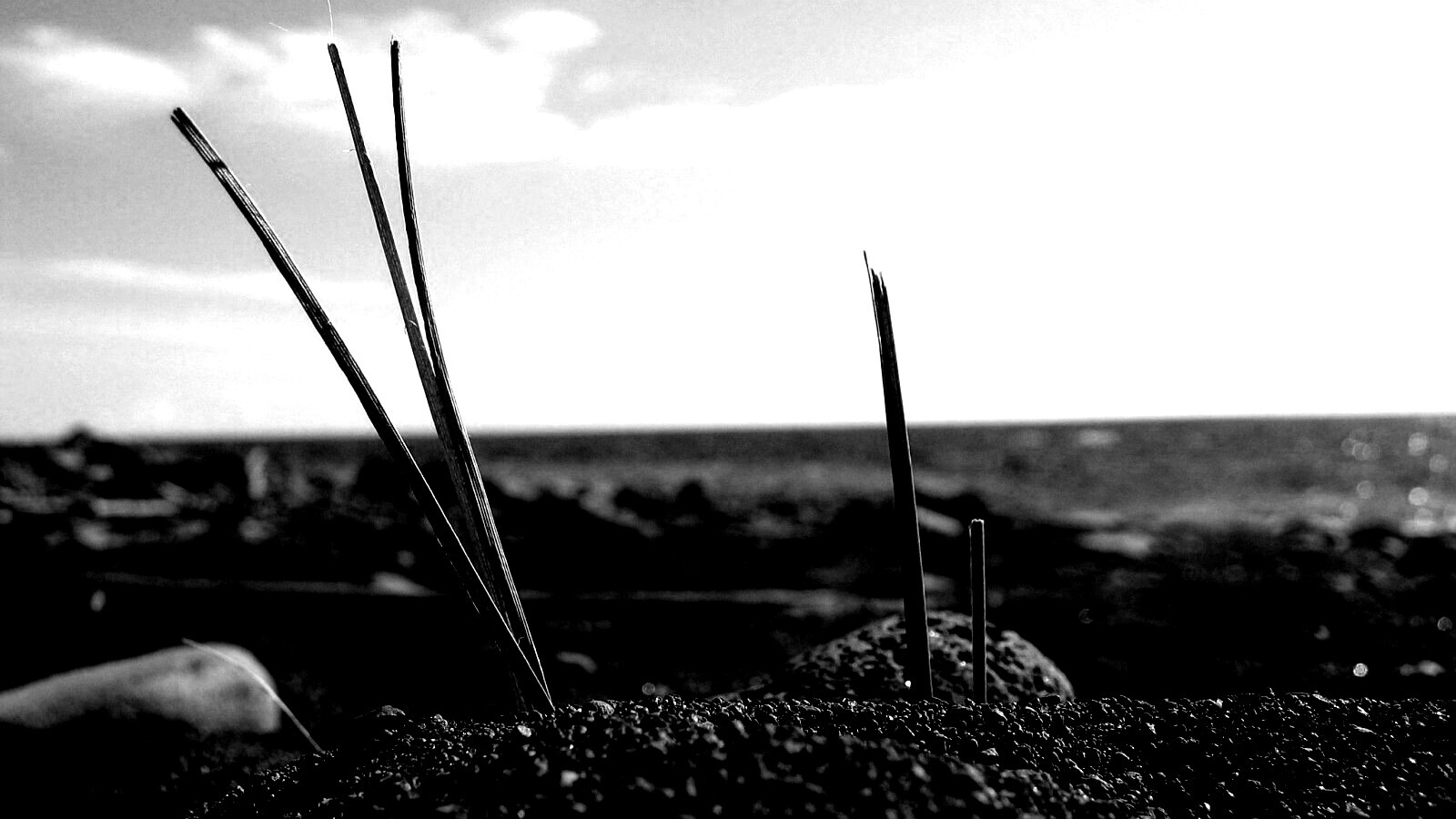 Солома на океанском берегу обои