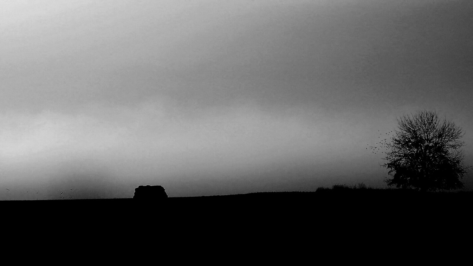 Убранное поле обои