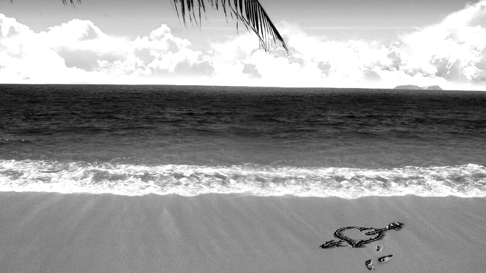 Любовь на океанском берегу обои