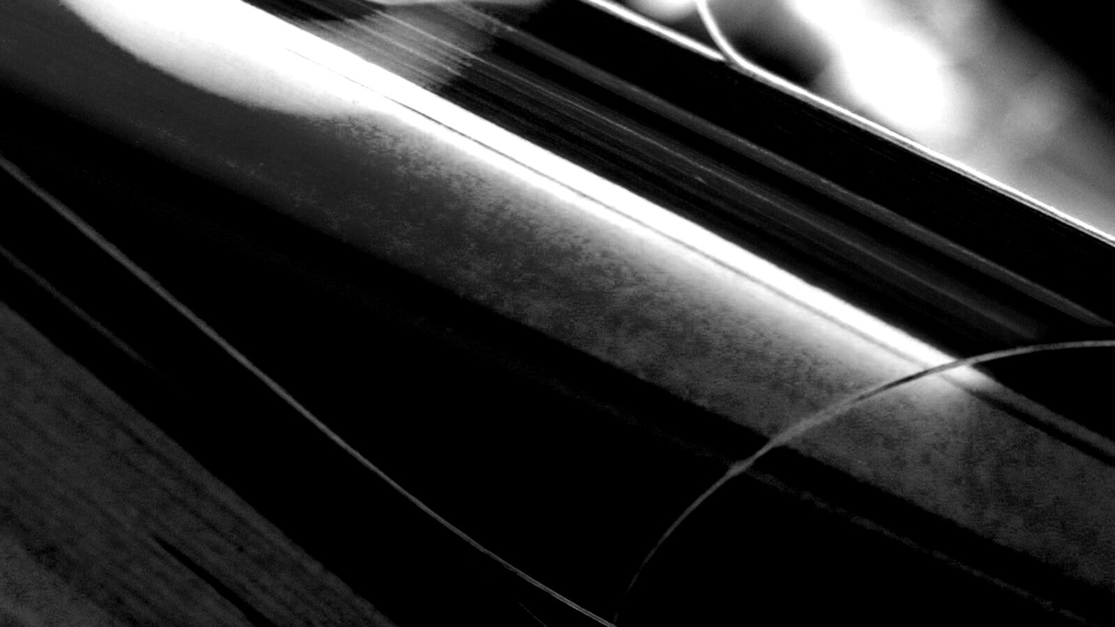 Желто-зеленые травинки обои