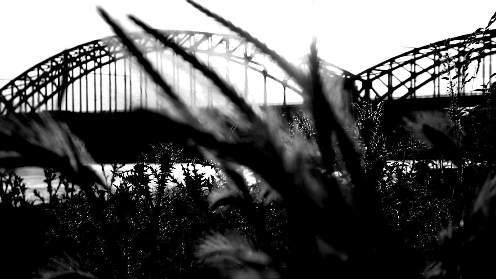 Железнодорожный мост обои