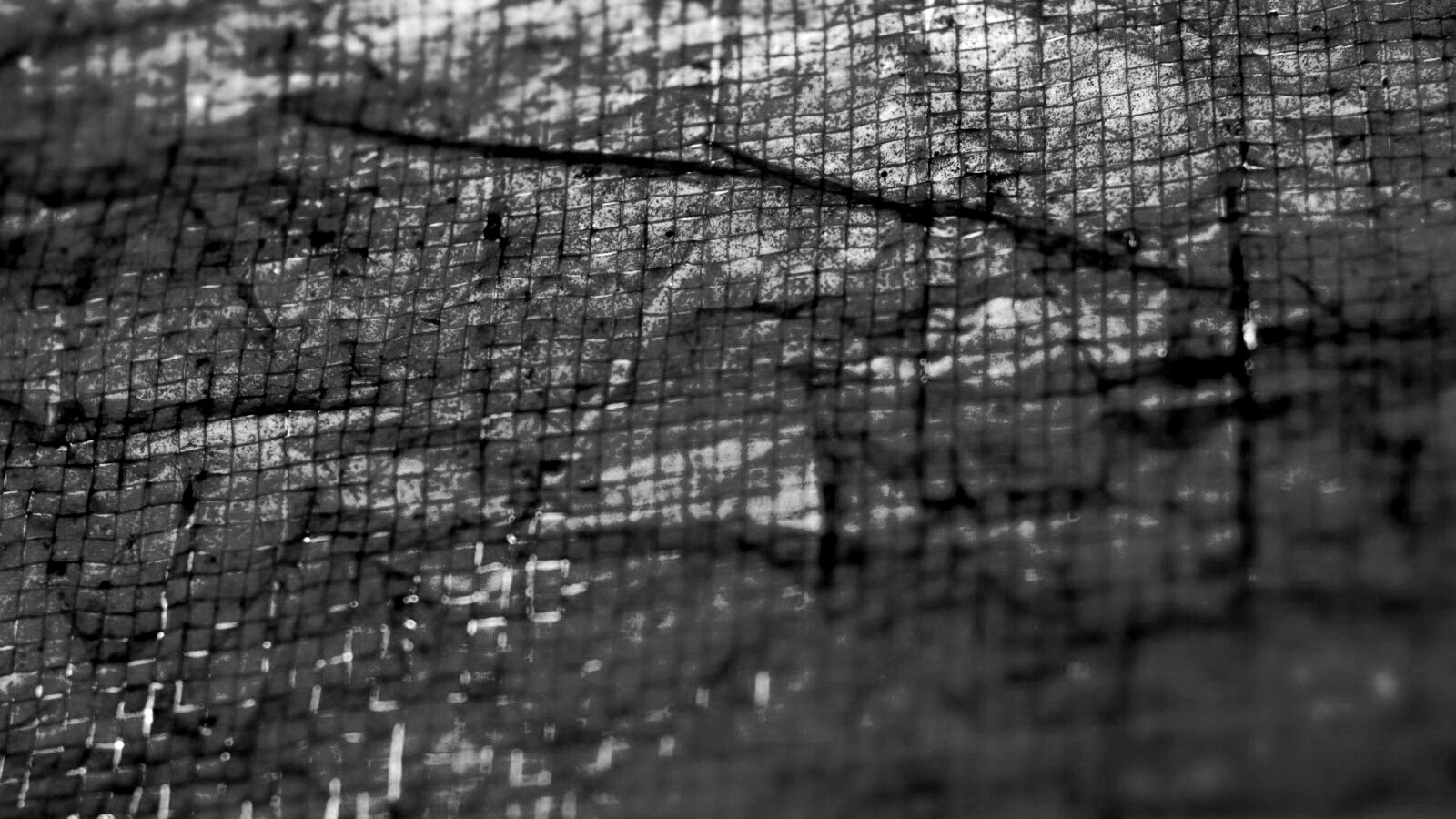 Плитка на дне обои