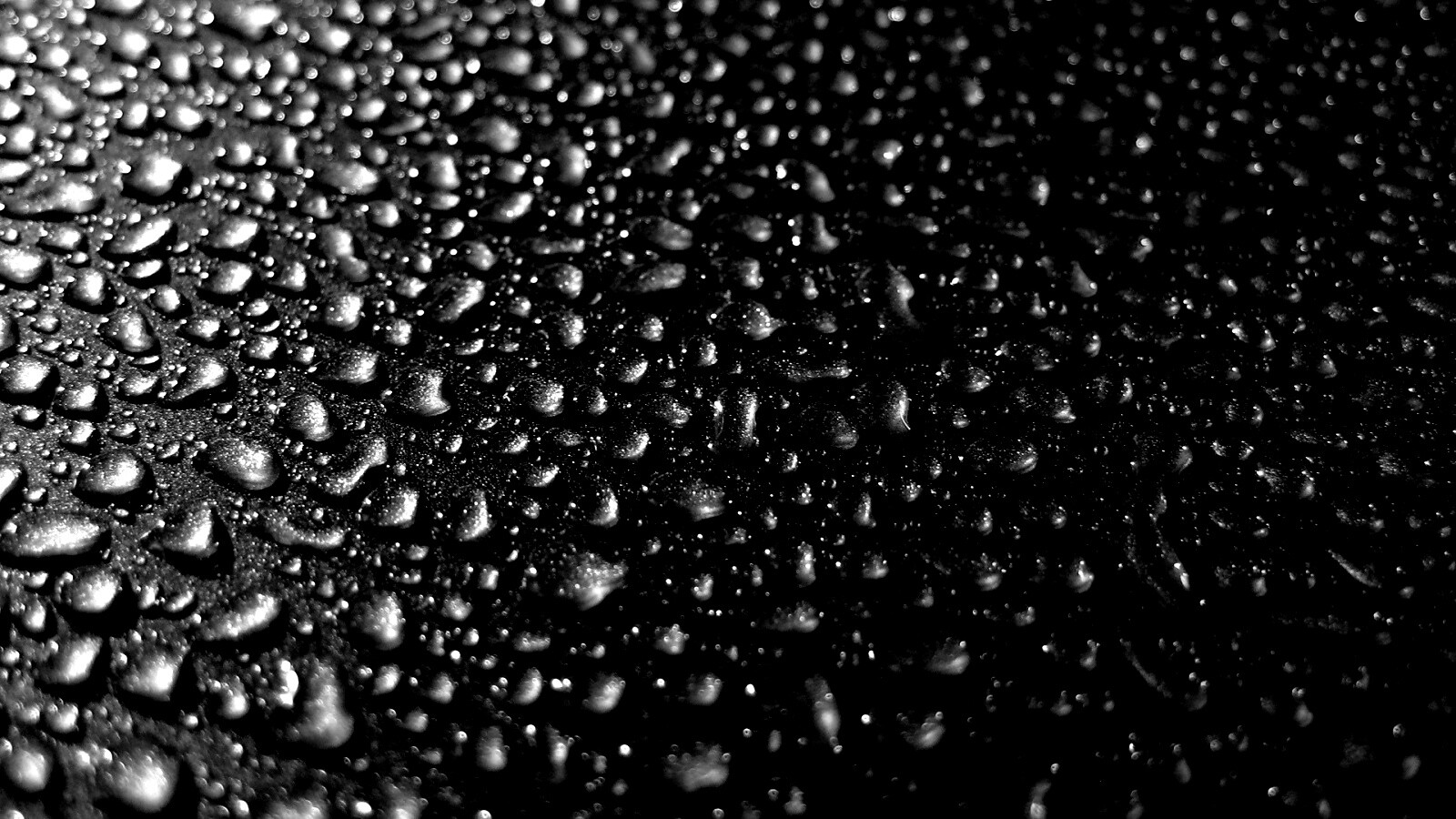 Вода собирается в капли обои