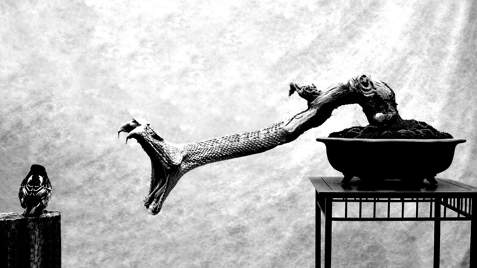 Змея-коряга напдает на птичку обои