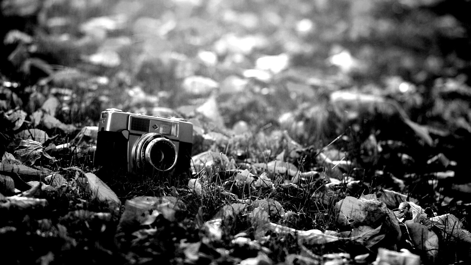 Старый фотоаппарат в траве обои