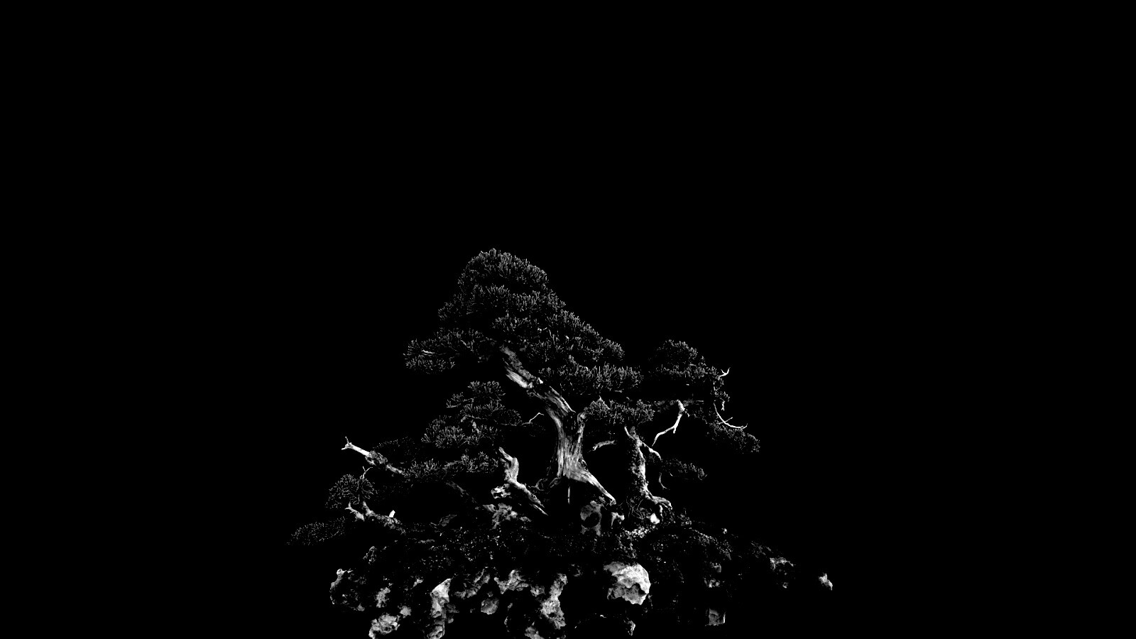 Миниатюрное дерево обои