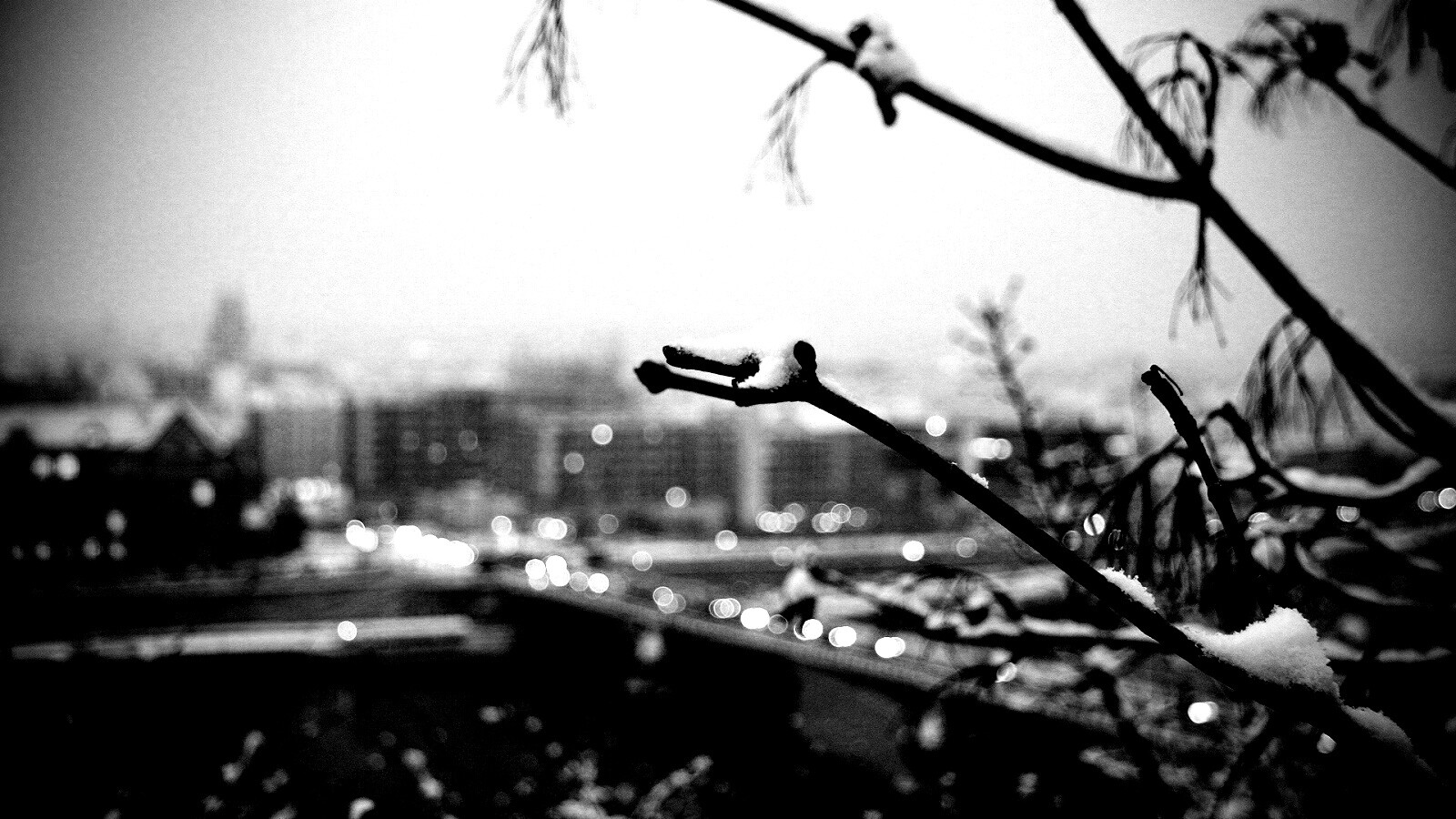 Зима в городе обои