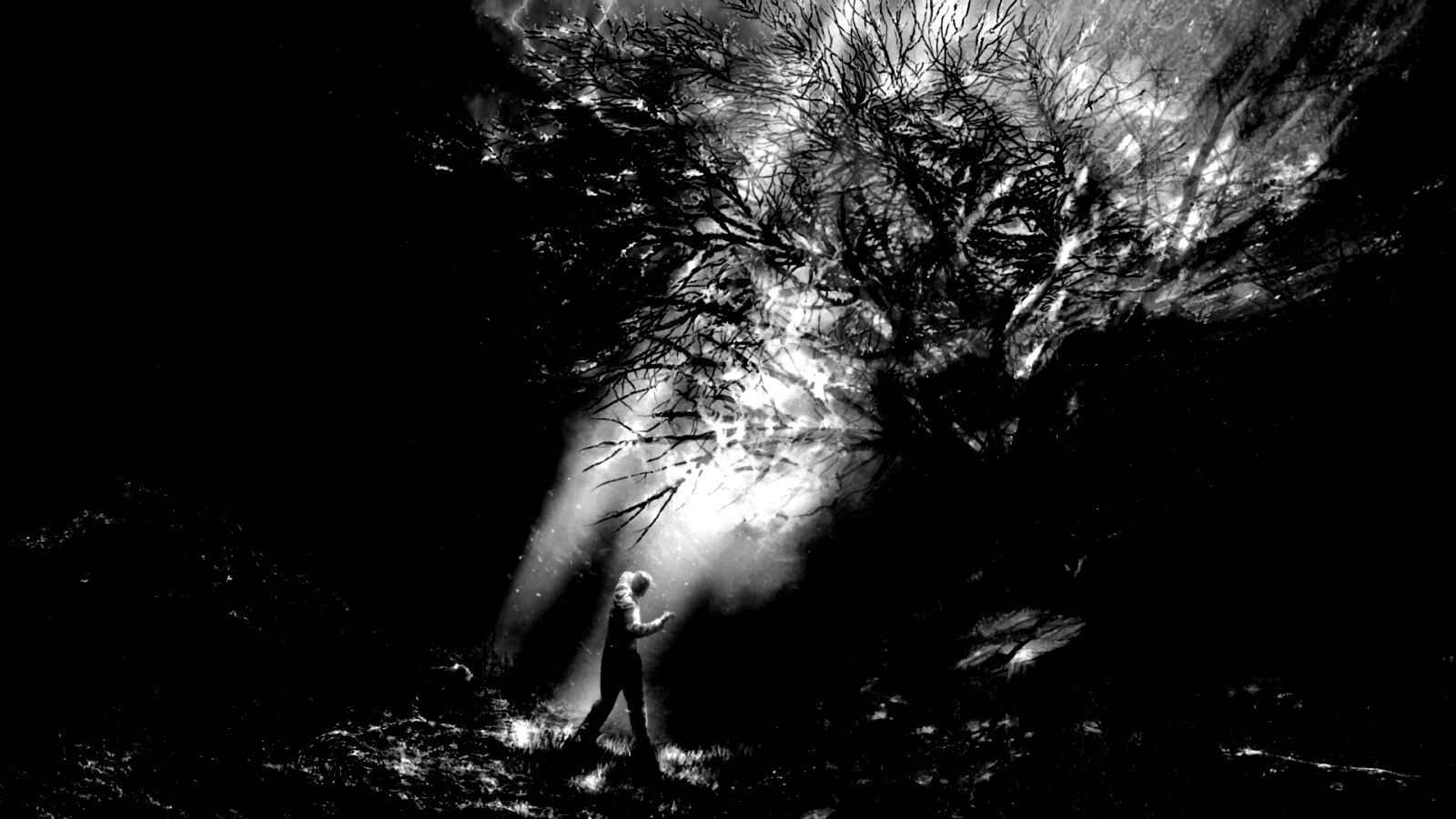 Горящее дерево обои