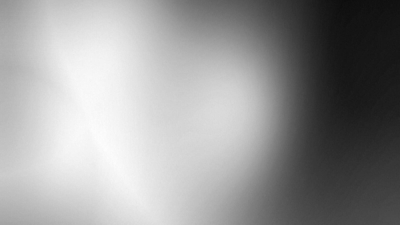 Перелив цветов обои