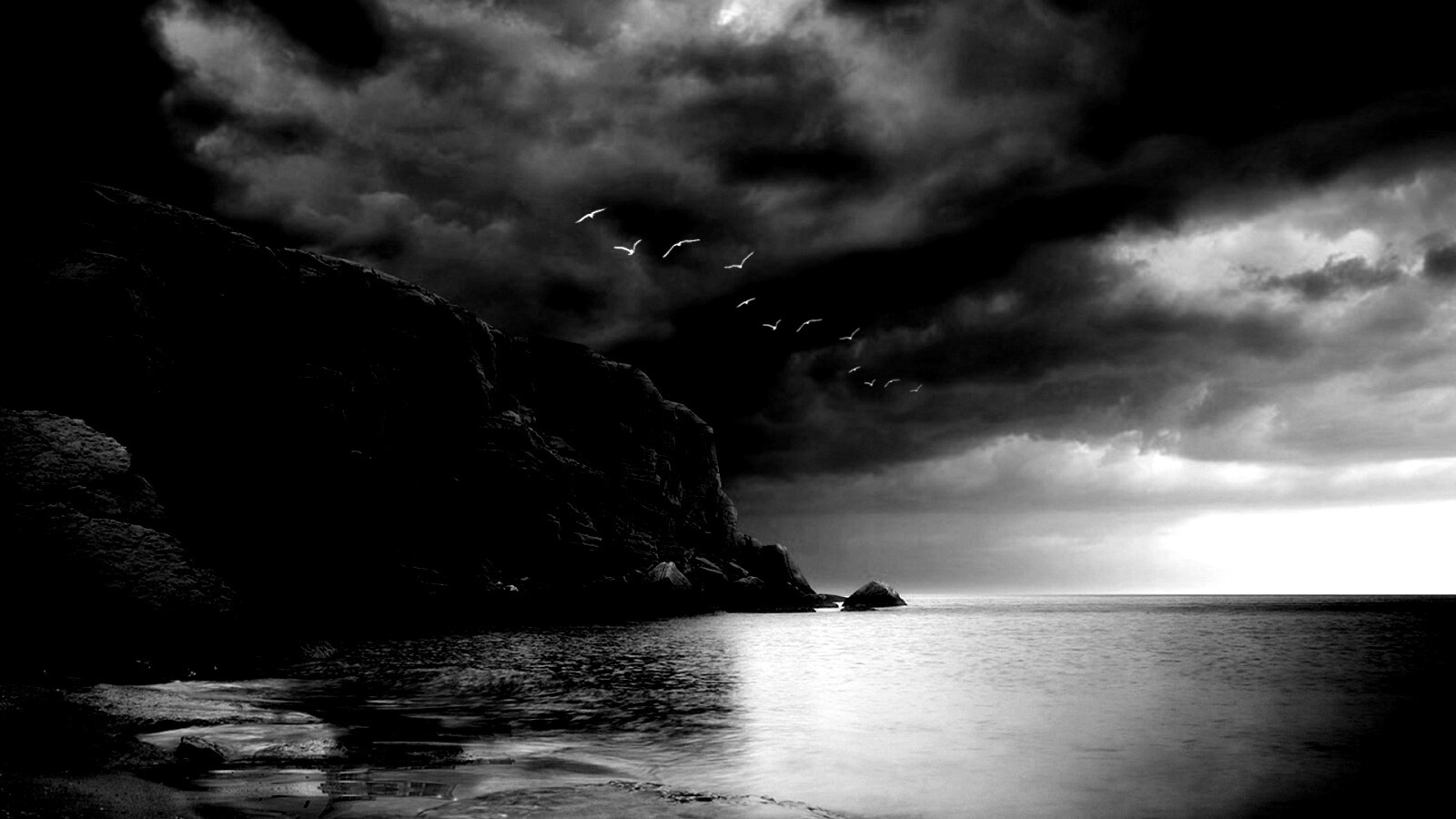 Чайки над скалами обои