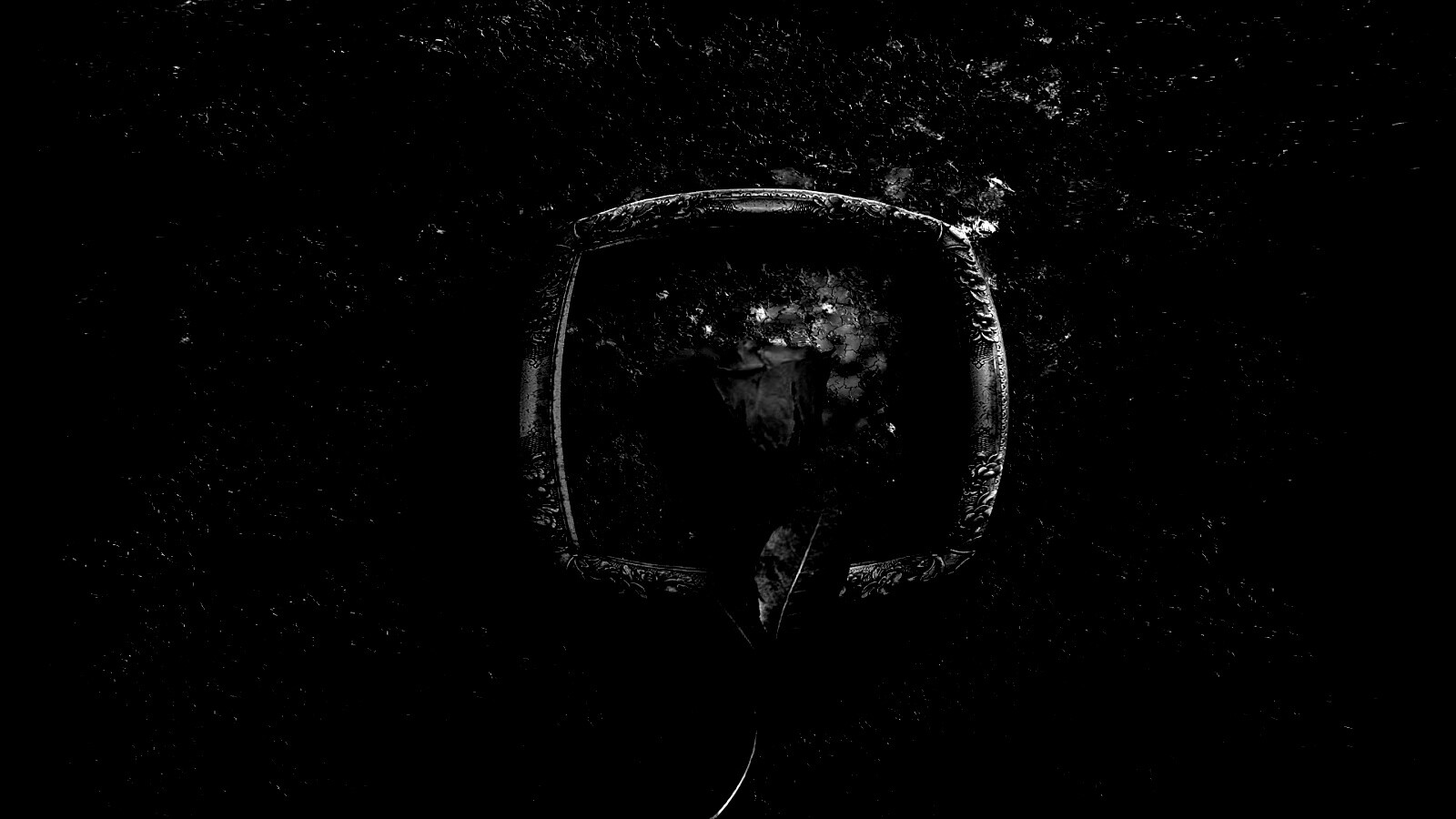 Роза на картинной раме обои