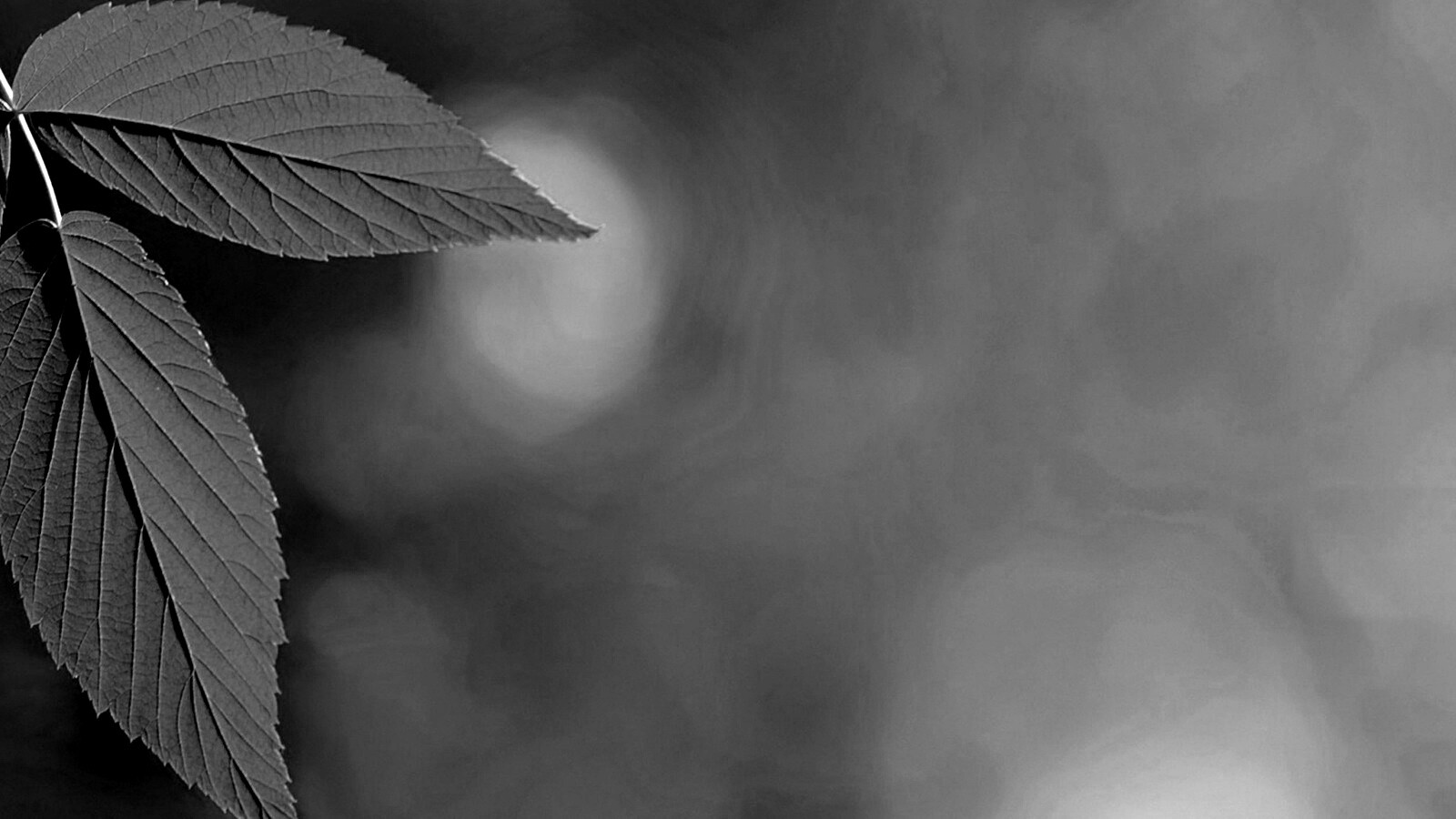 Два листа обои