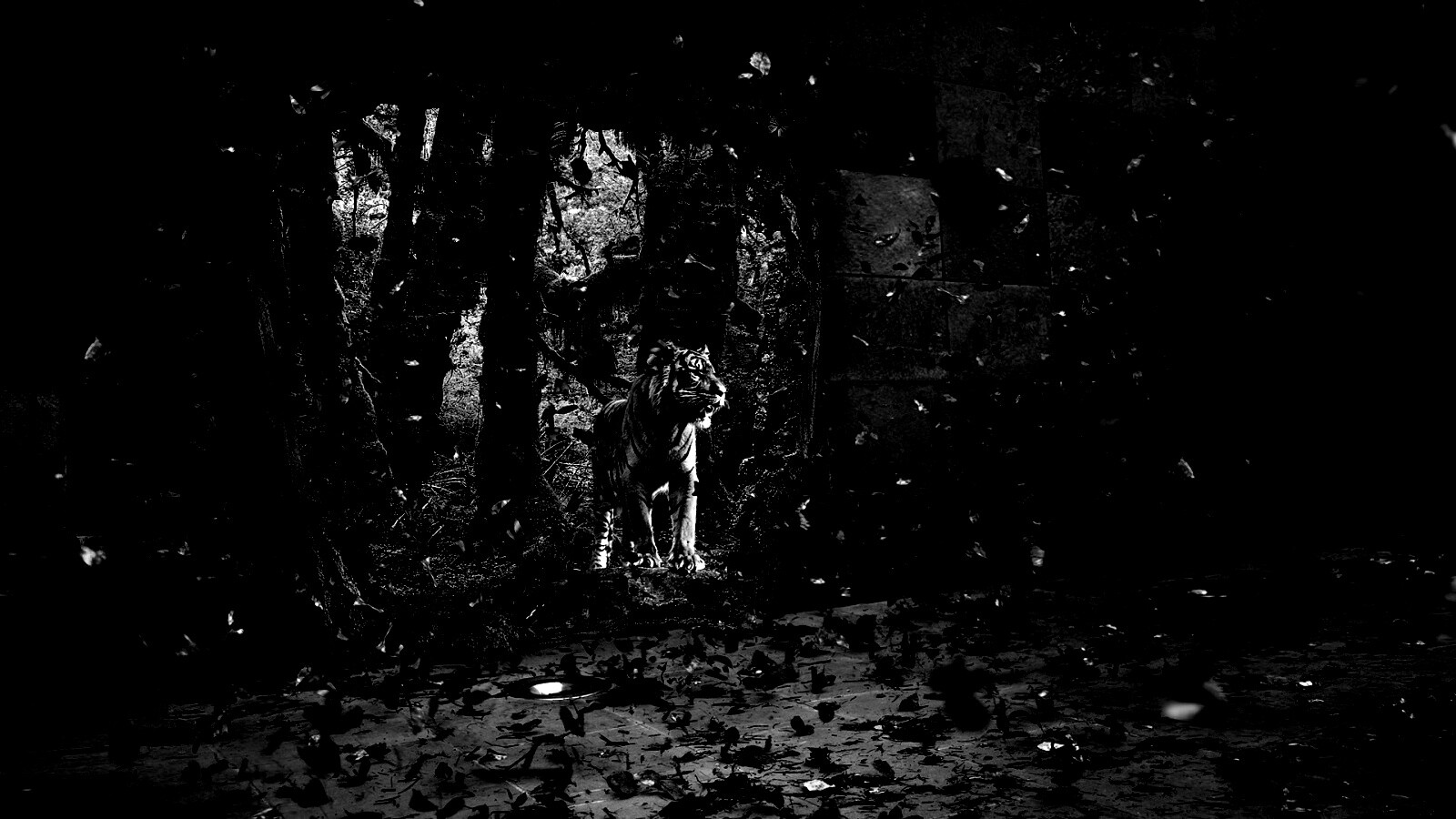 Портал в джунги обои