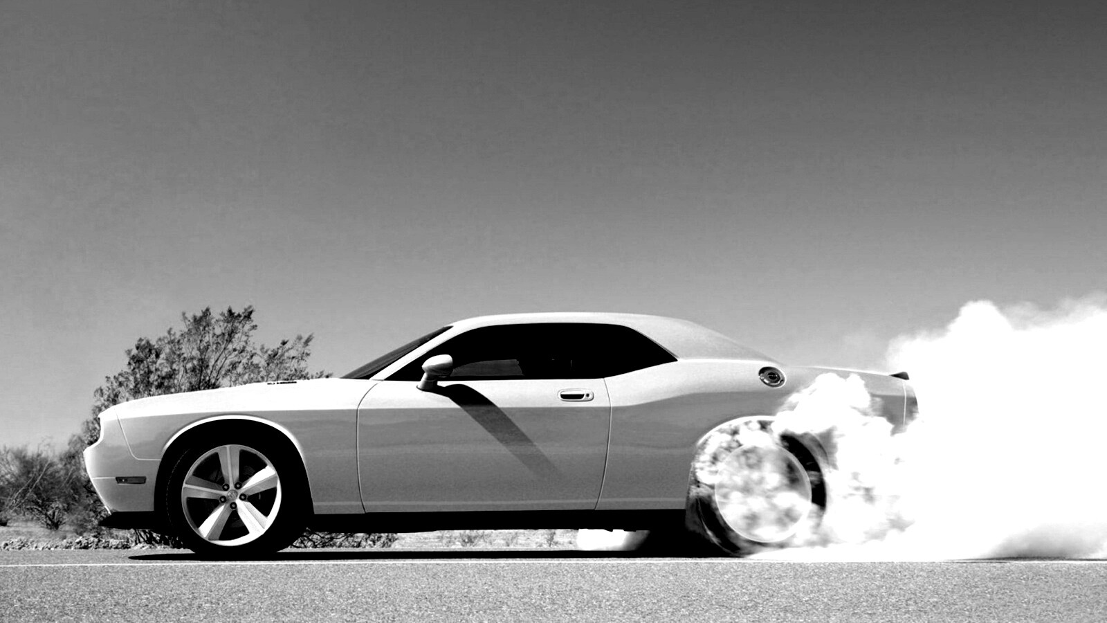 Стартующий Форд Мустанг обои