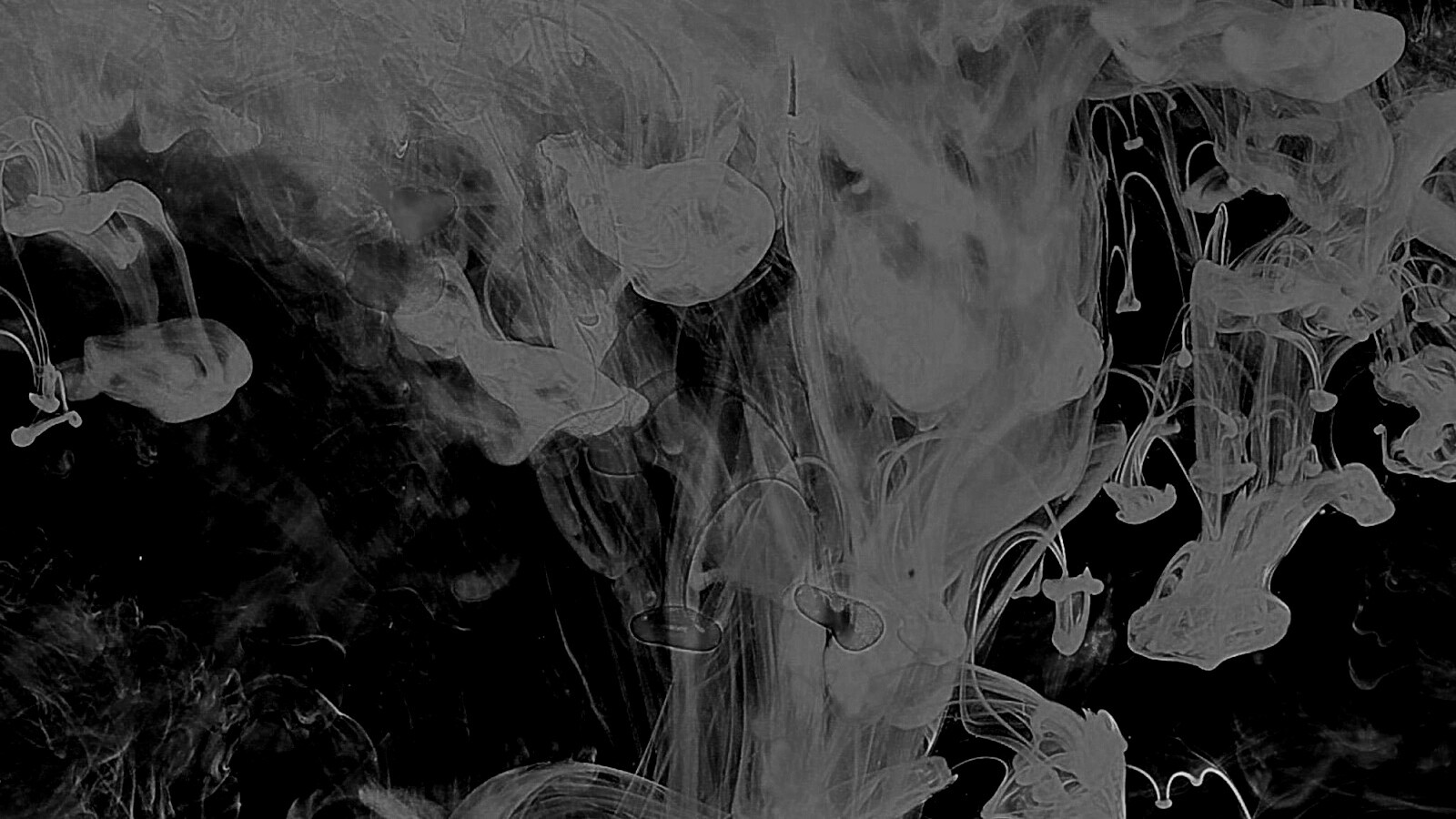 Краска растворяется в воде обои