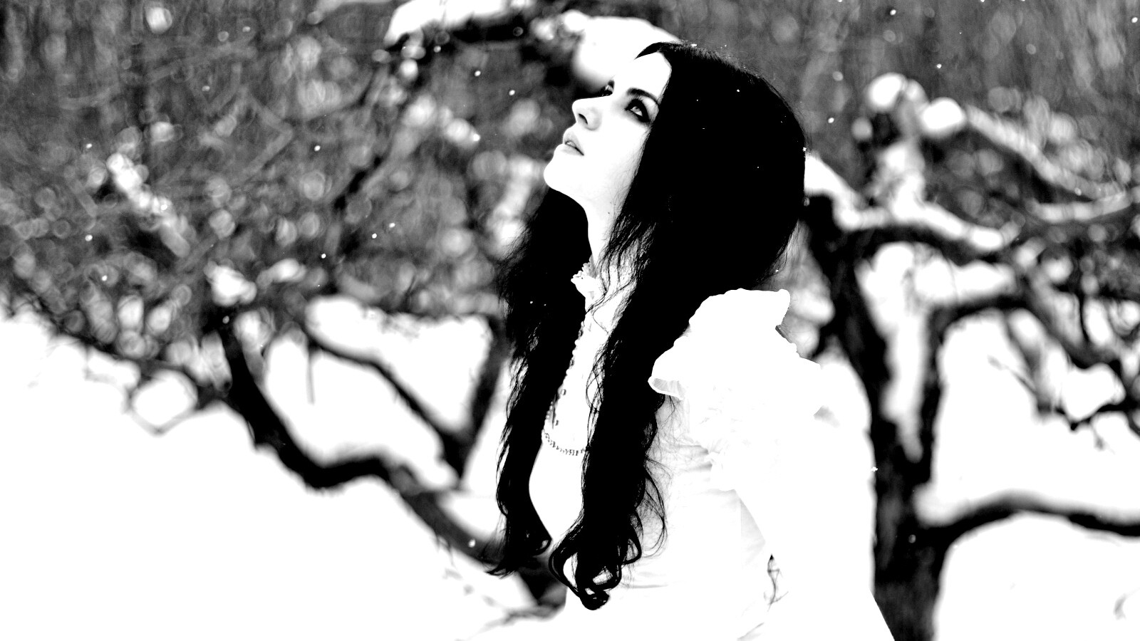 Белоснежная леди обои