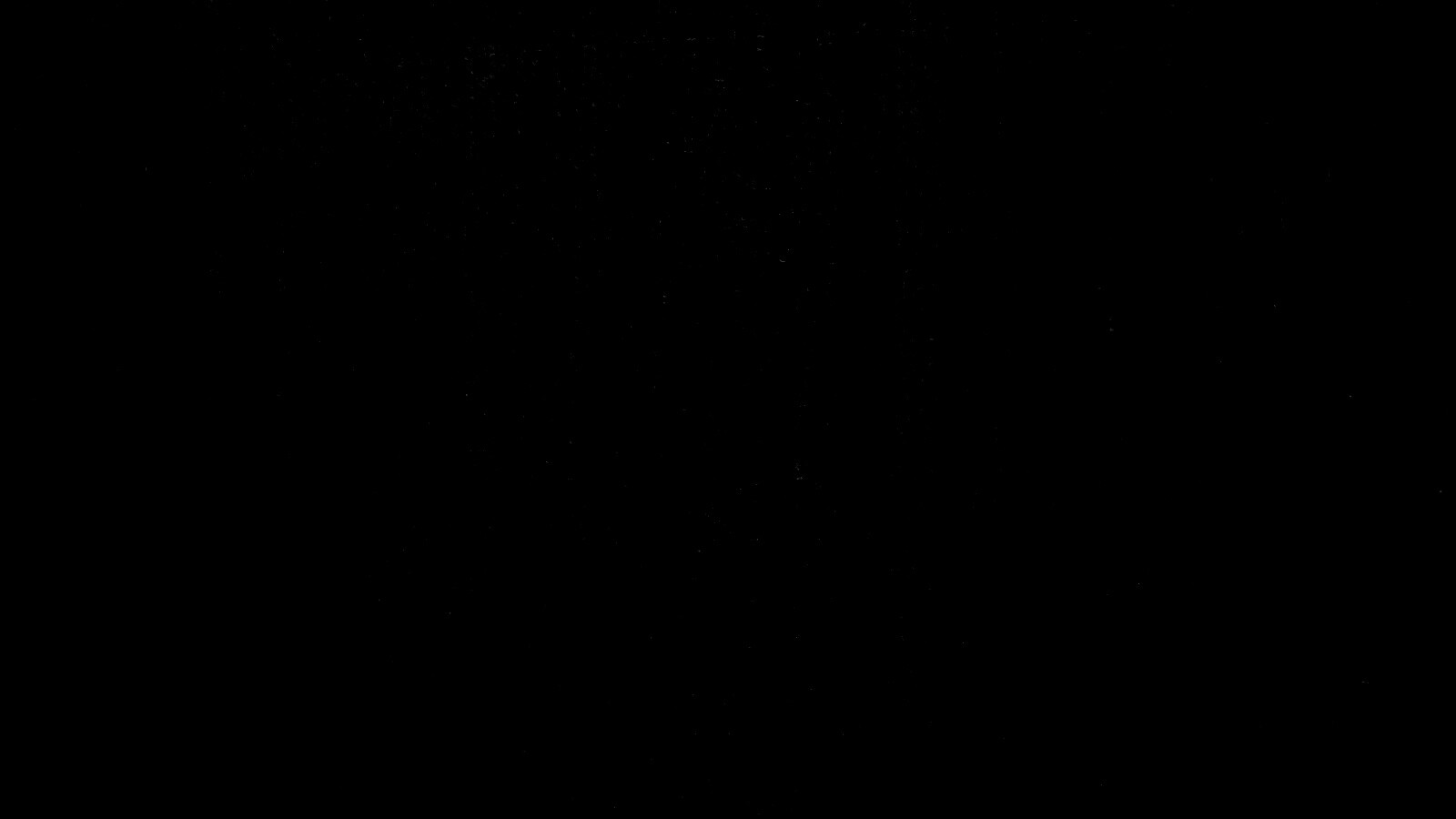 Темно-оранжевое дерево обои