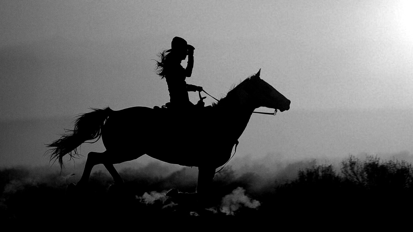 Наездница на закате обои