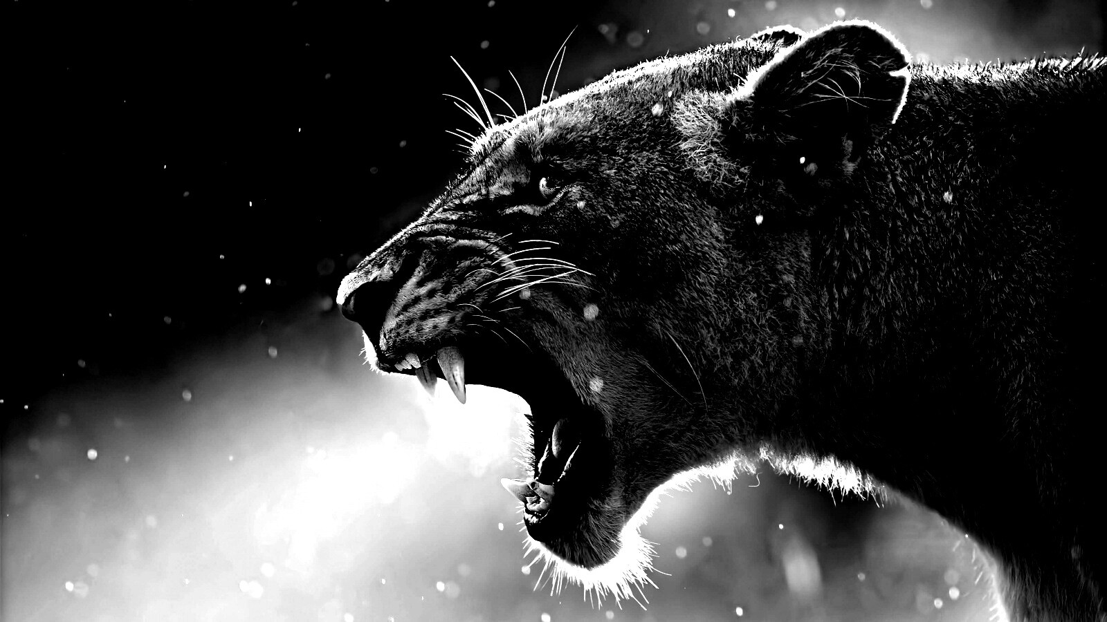 Грозный львиный рык обои