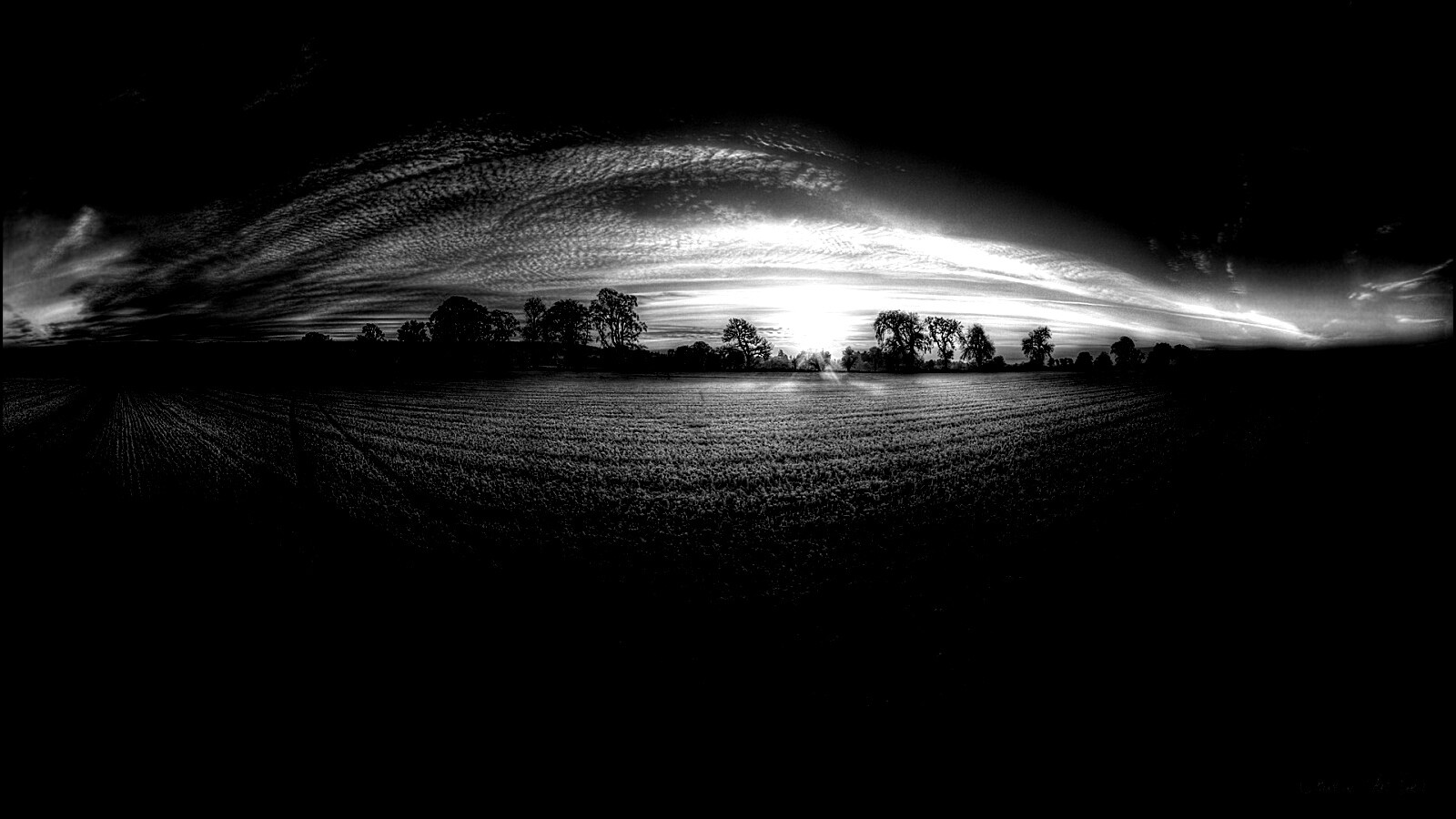 Поле широкоугольным объективом обои