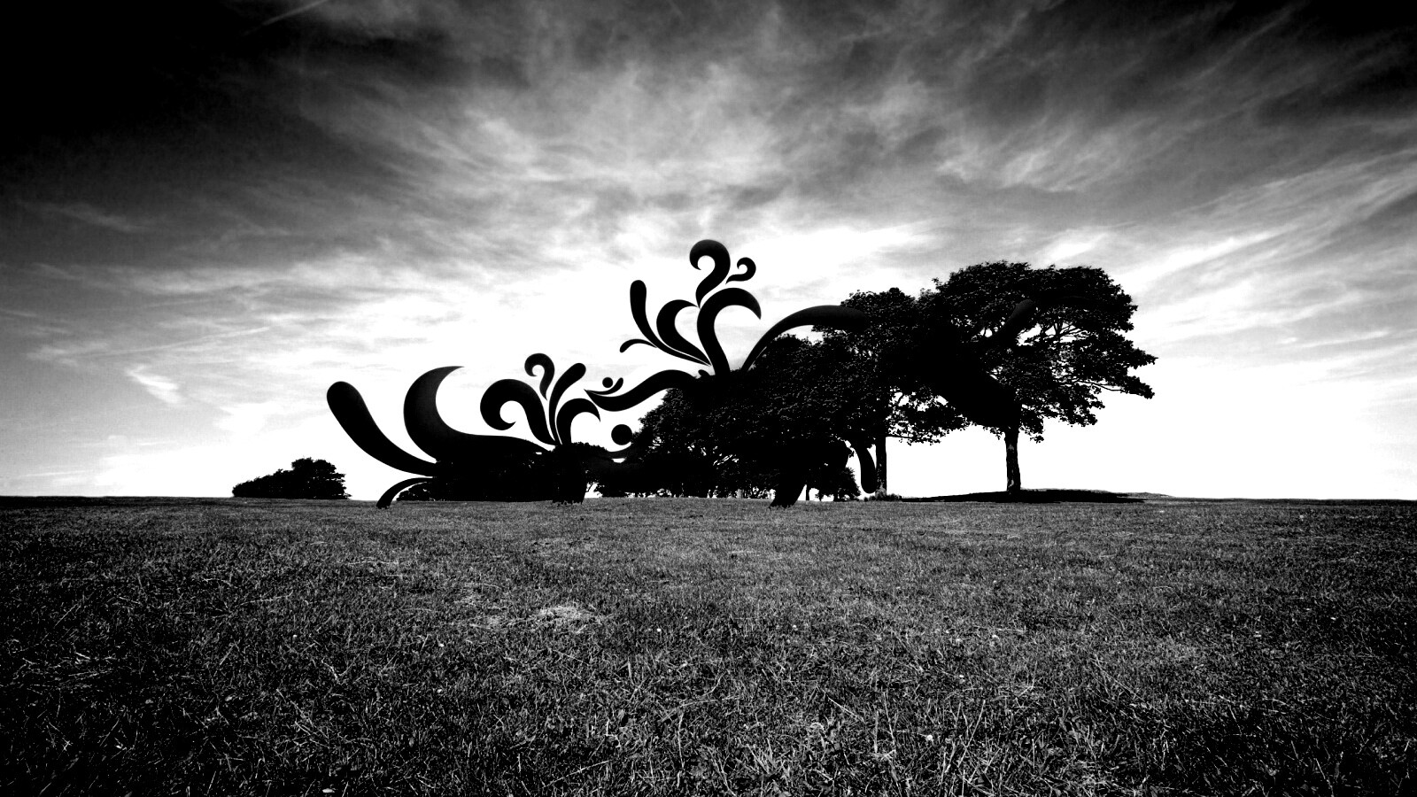 На равнине обои