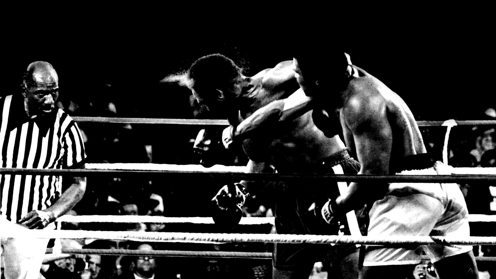 Чемпион по боксу Мохаммед Али обои